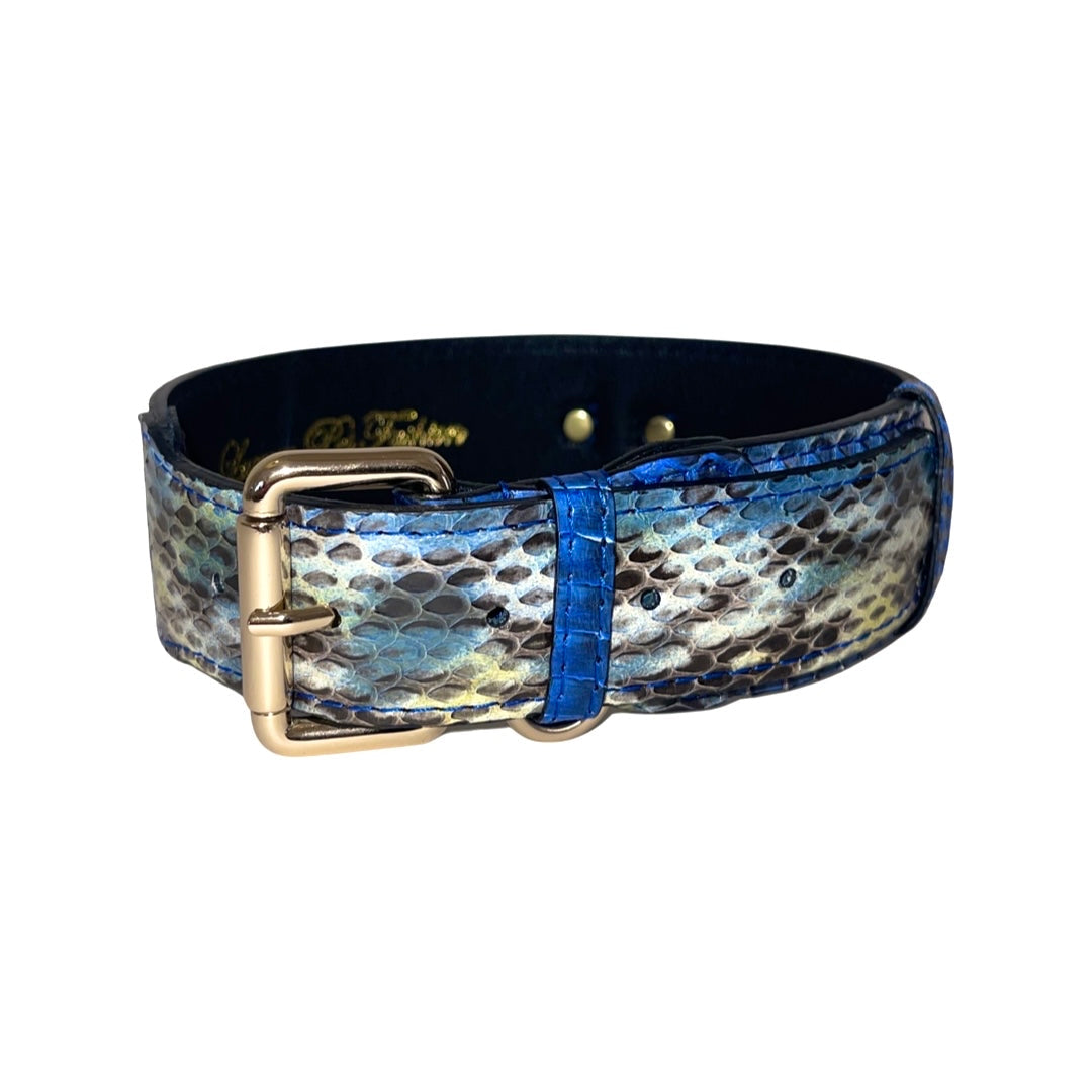 Stunning Multi-Blue Tone Snake Classic Collar displayed against a neutral background