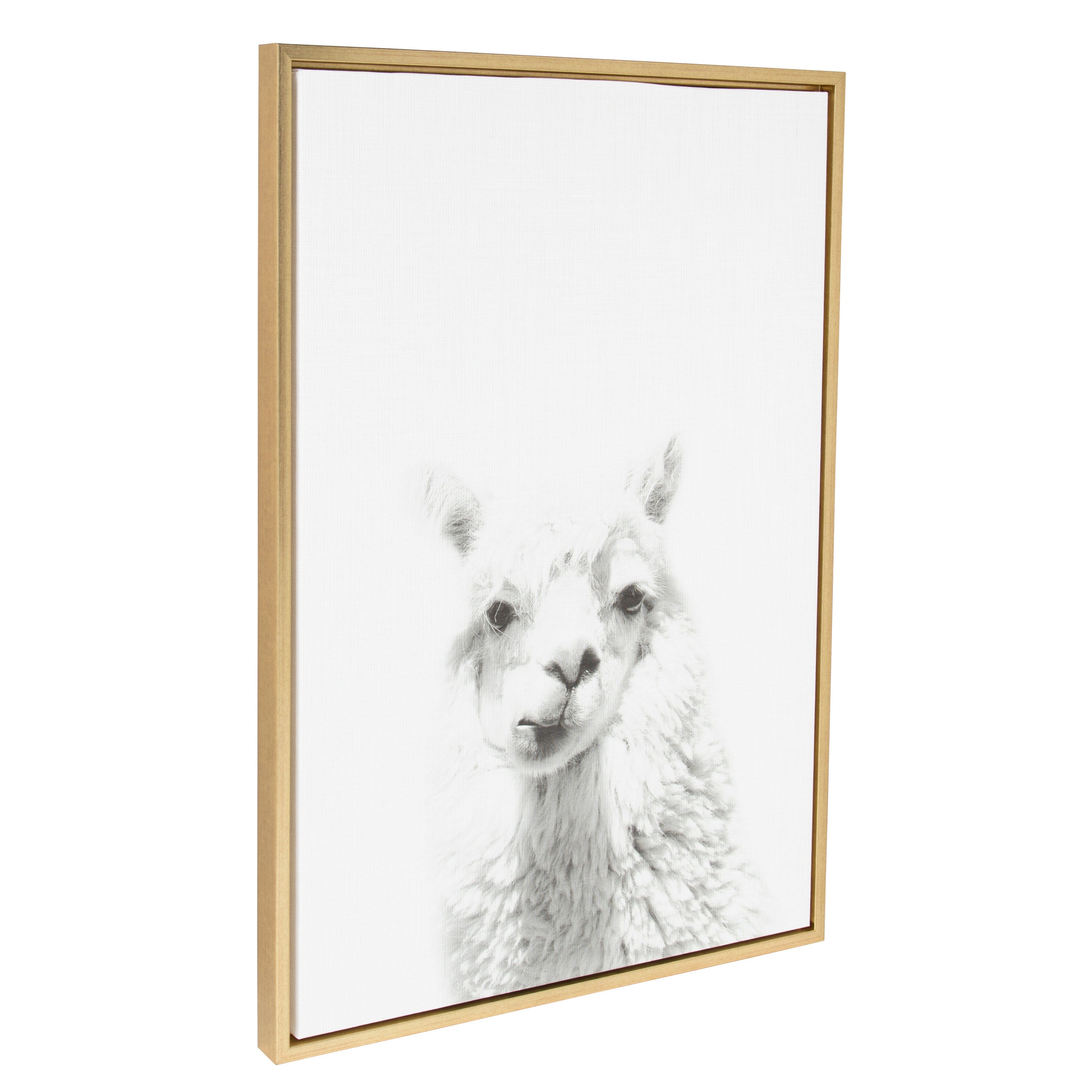 Sylvie Alpaca Framed Canvas by Simon Te of Tai Prints