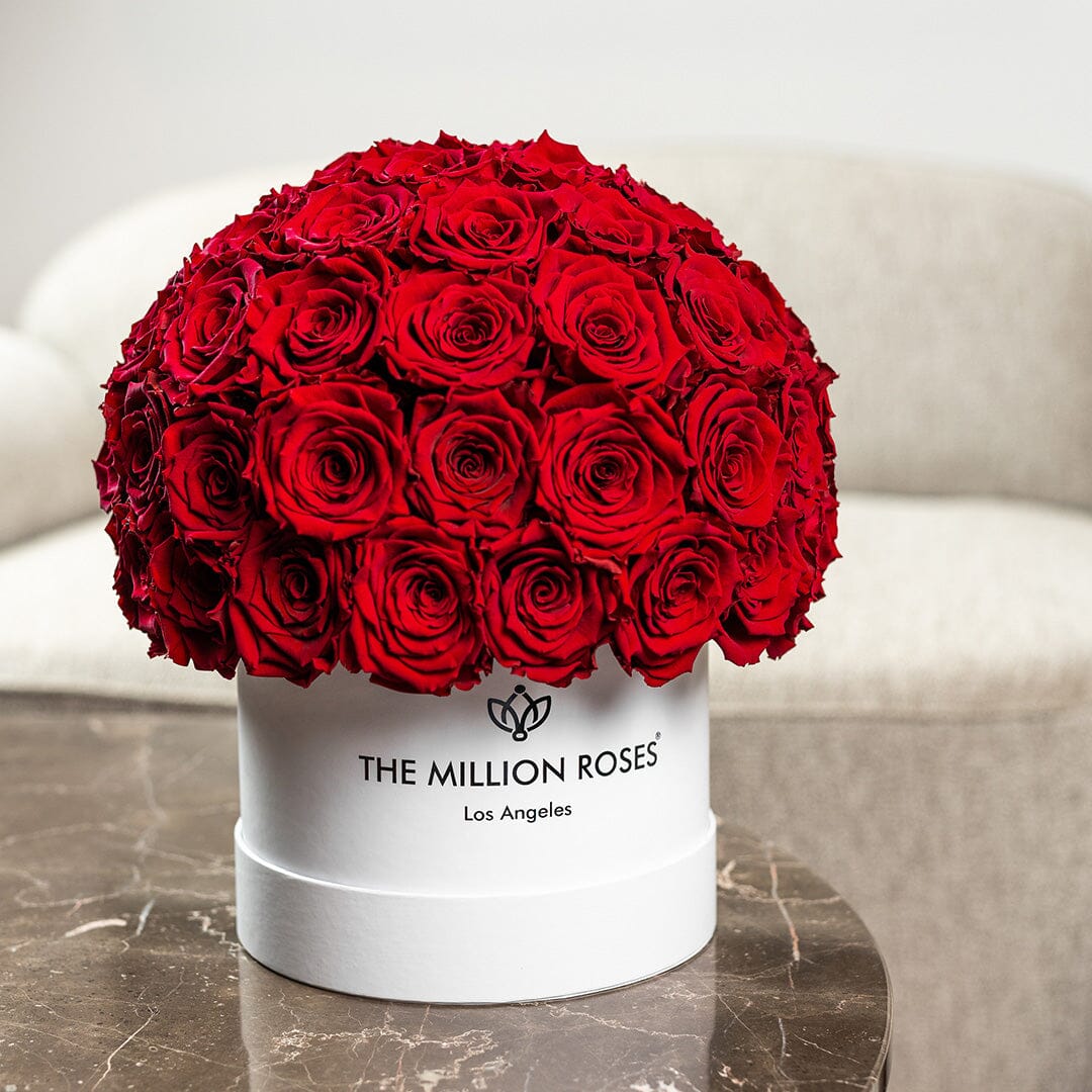 Classic White Superdome Box by The Million Roses - product image 5 for Resin Society