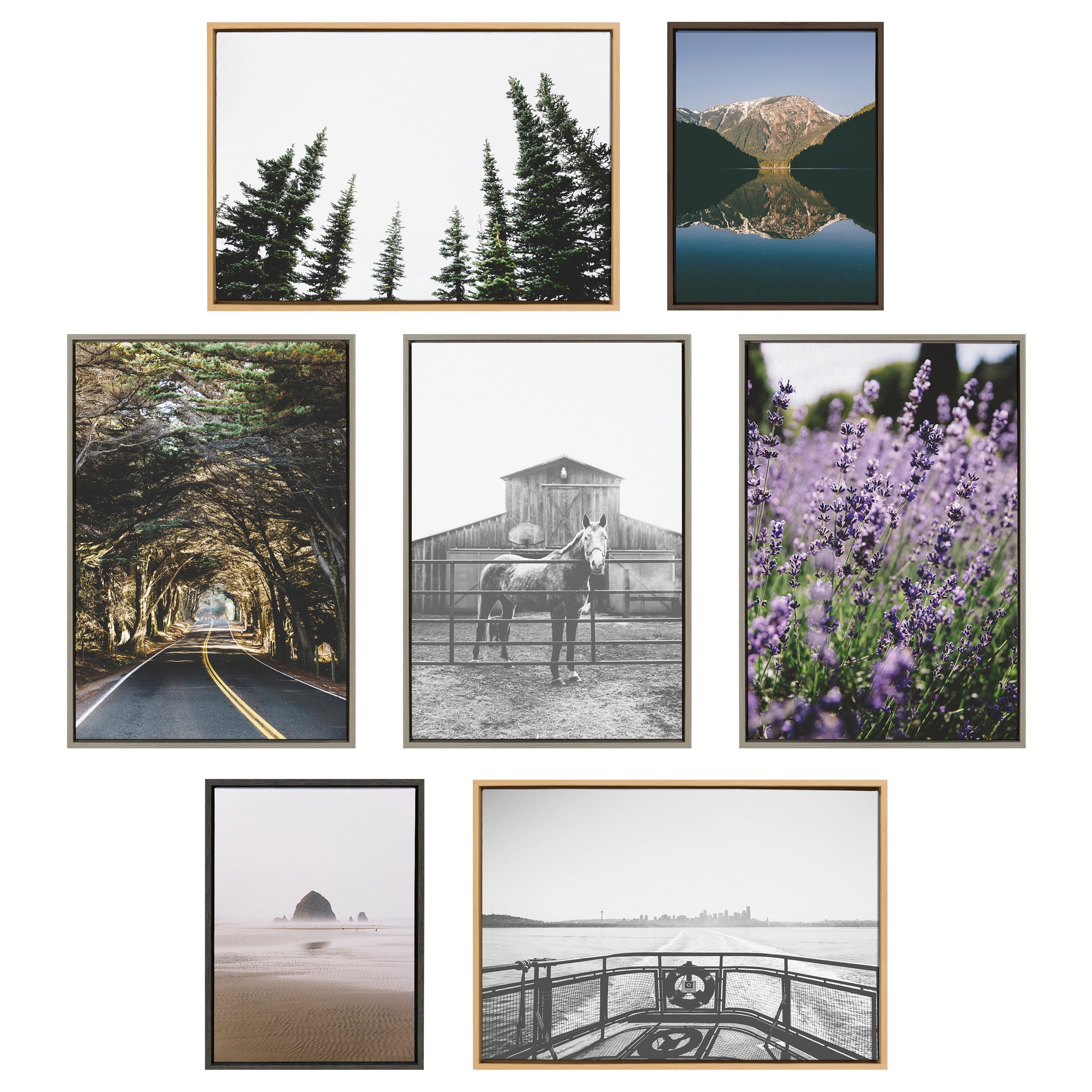 Sylvie Evergreens Framed Canvas by Patricia Hasz