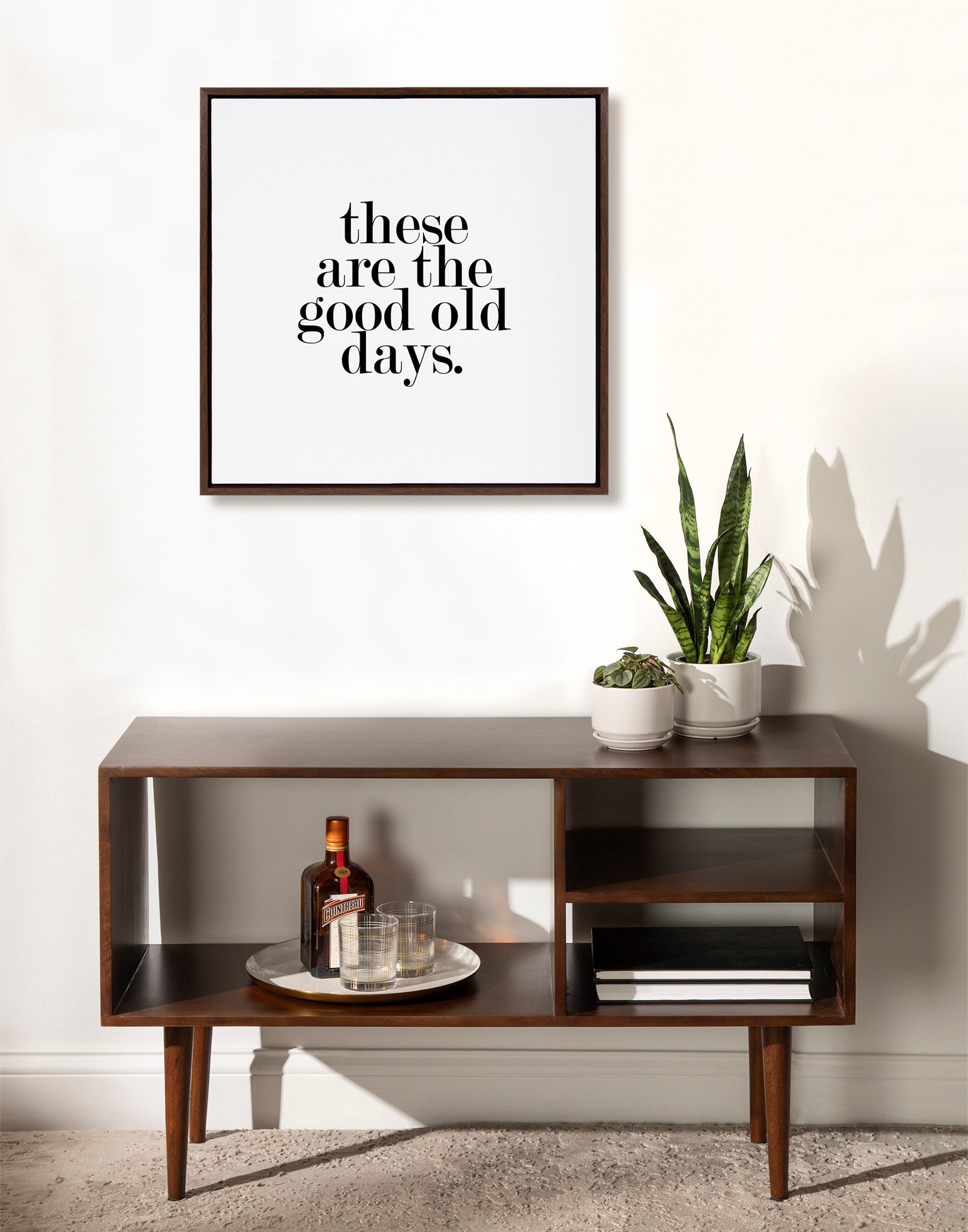 Sylvie Good Old Days Framed Canvas by kateandlaurel - product image 15 for Resin Society