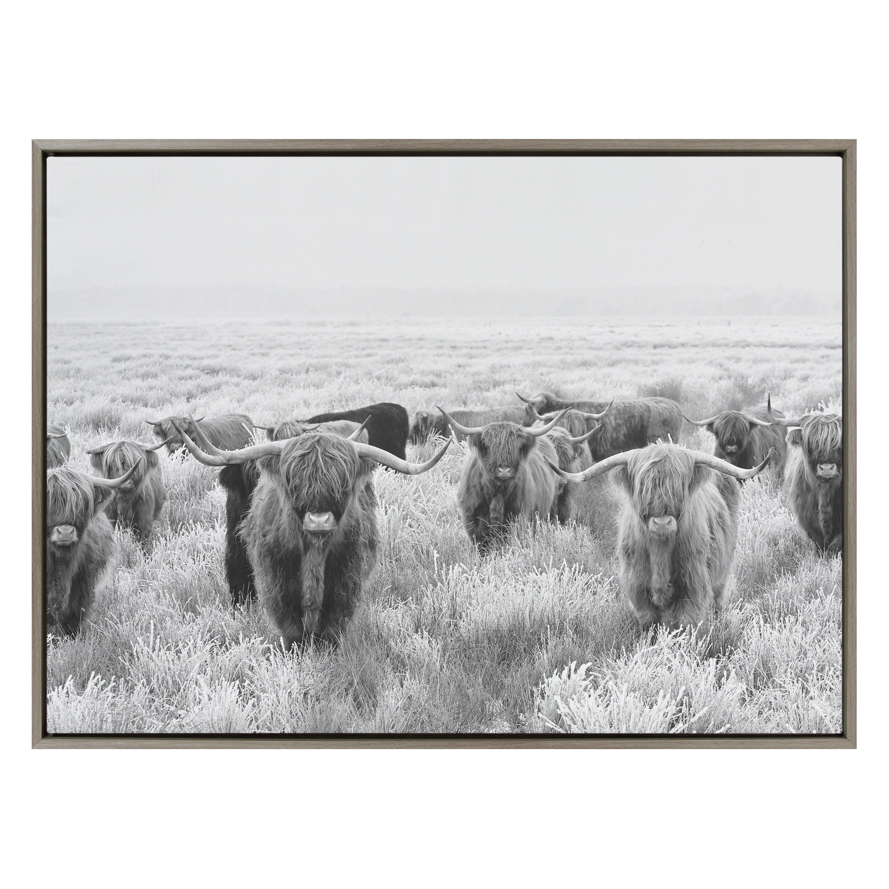 Sylvie Herd of Highland Cows Black and White Framed Canvas by The