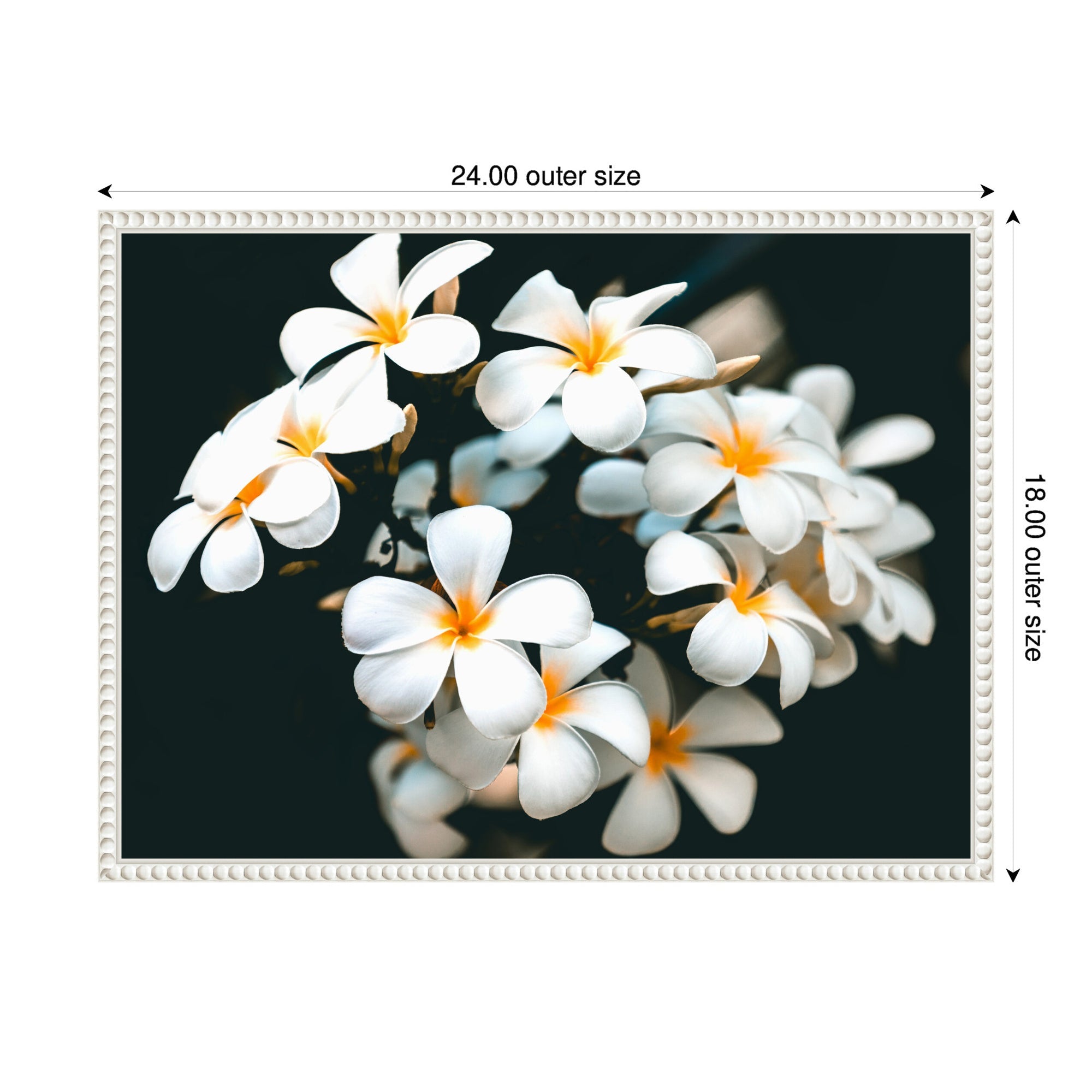 Sylvie Tropical Flowers Framed Canvas by Alicia Abla