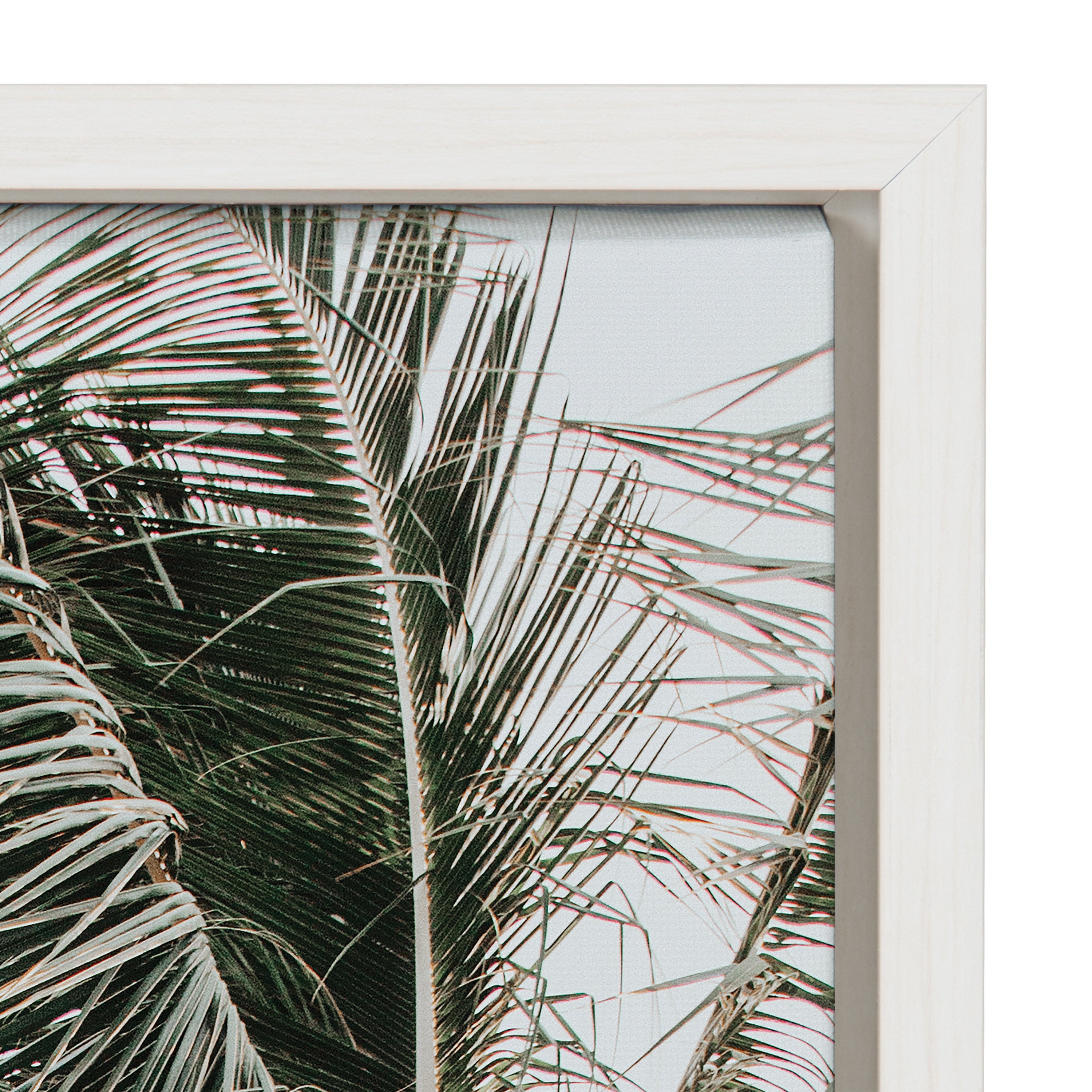 Sylvie Palm Trees Framed Canvas by Alicia Abla by kateandlaurel - product image 3 for Resin Society