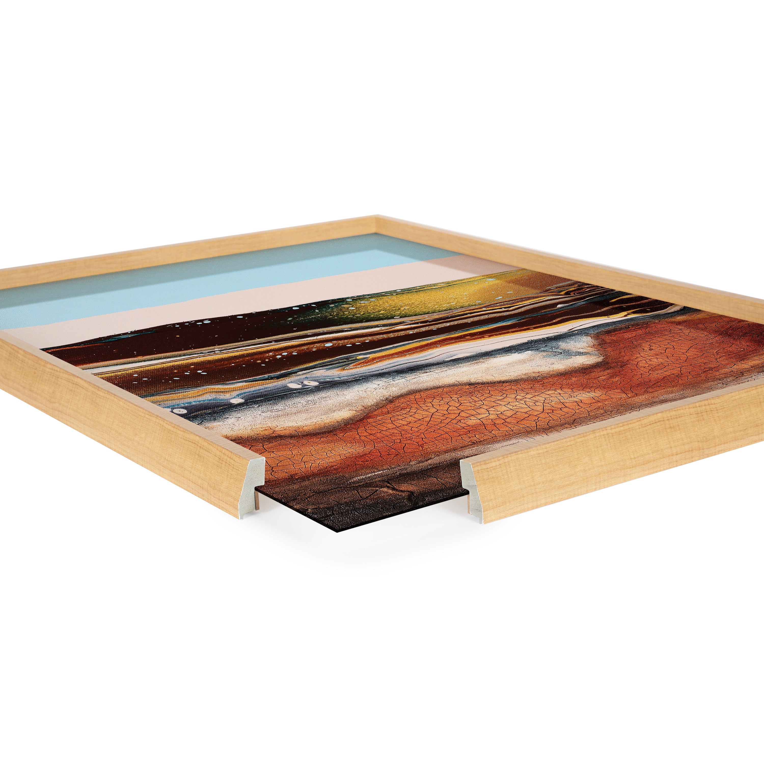 Blake Sonoran Desert Framed Printed Art by Xizhou Xie