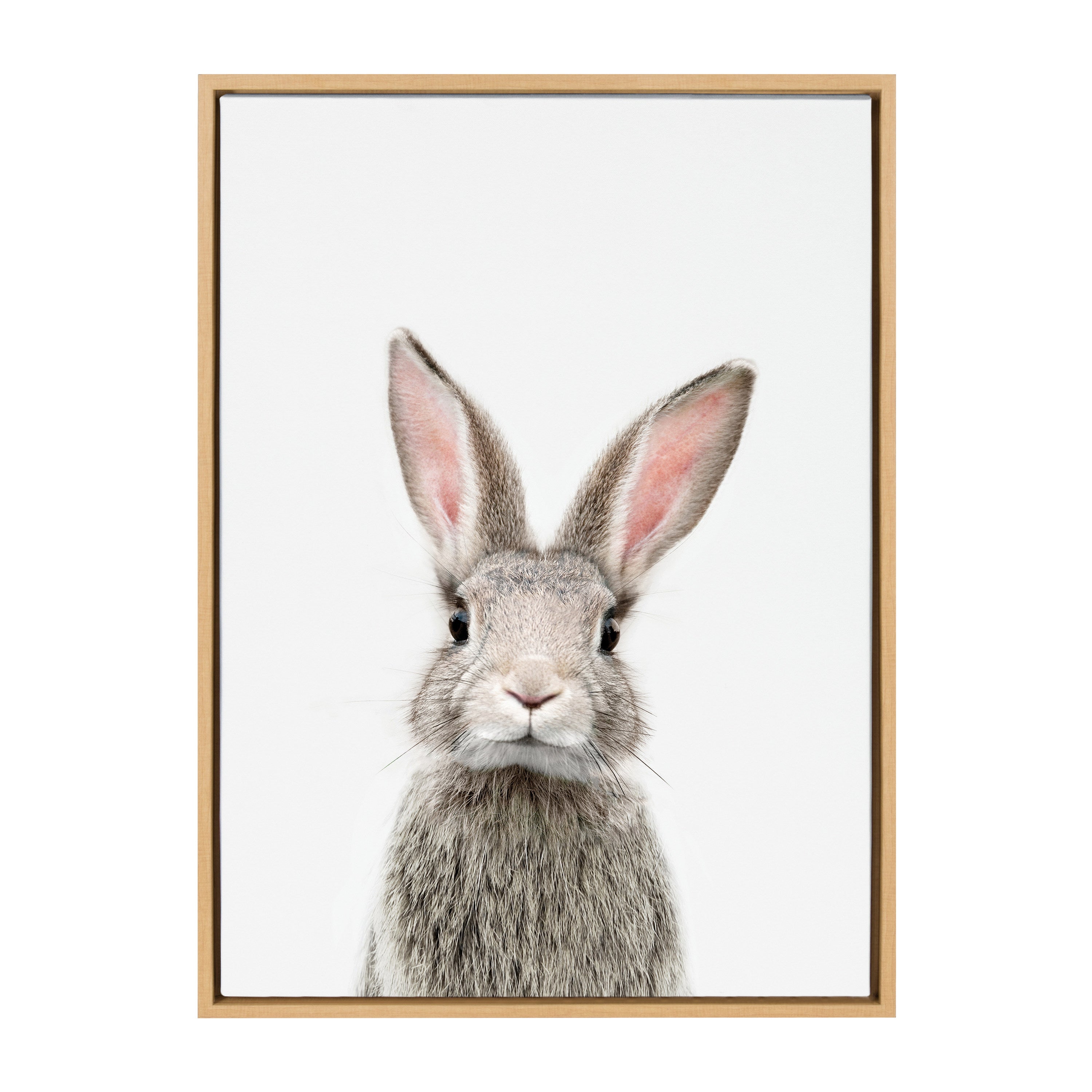 Sylvie Young Rabbit Framed Canvas by Amy Peterson Art Studio