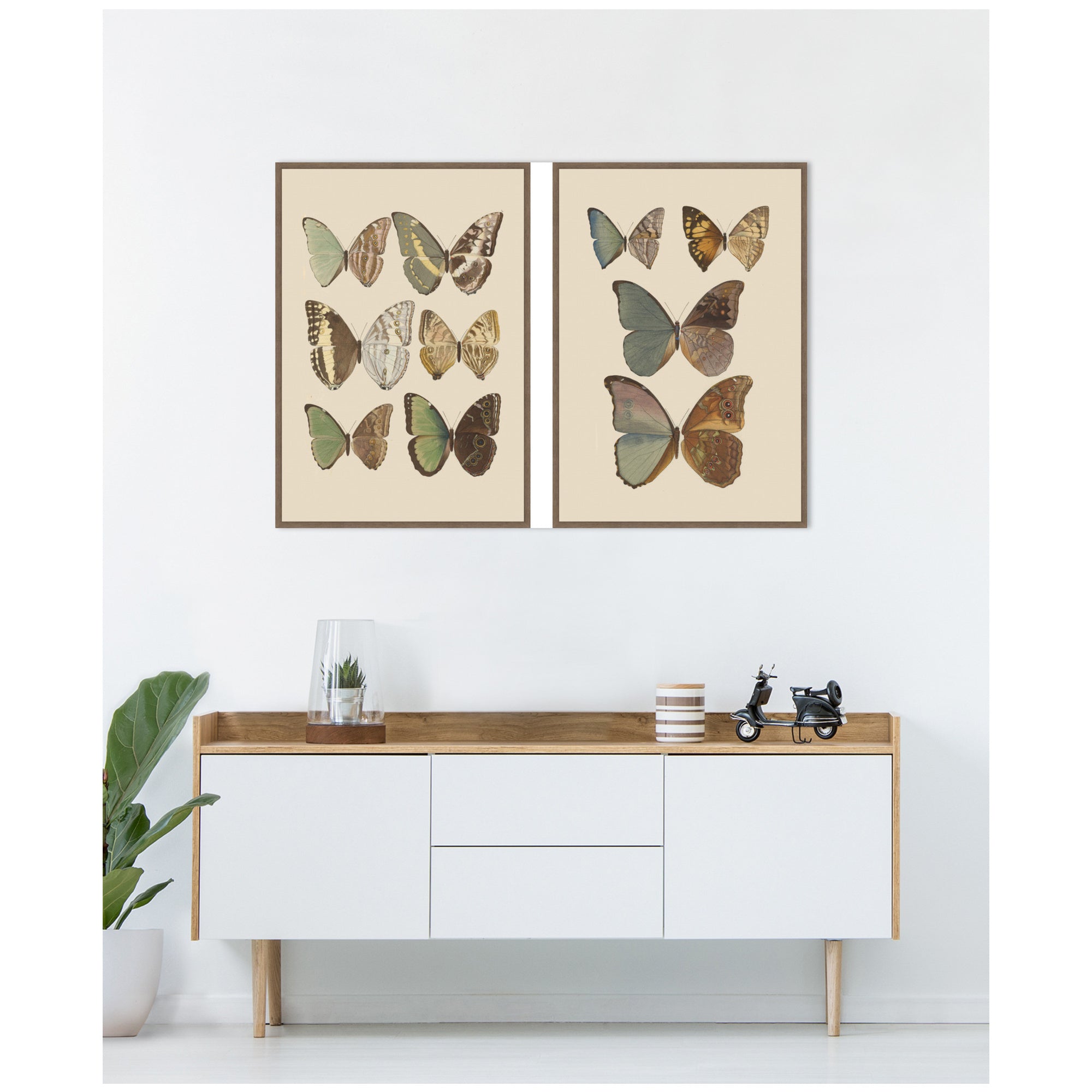 Exotische schmetterlinge Otto Staudinger 2 Piece Framed Canvas Wall Art Set by Nostalgia Prints