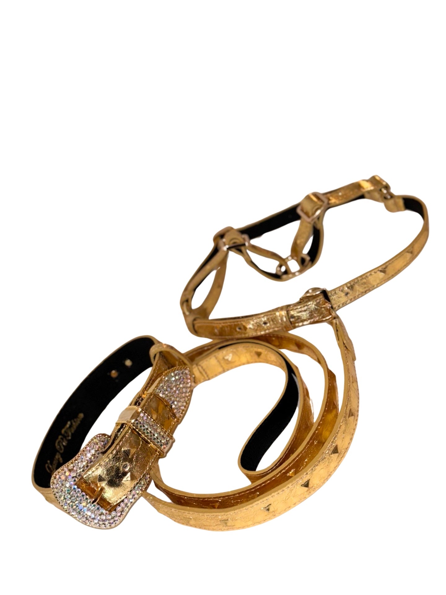Glam Gold Embossed Studded Italian Leather Collar by Allysa Payne Beverly Hills - product image 5 for Resin Society