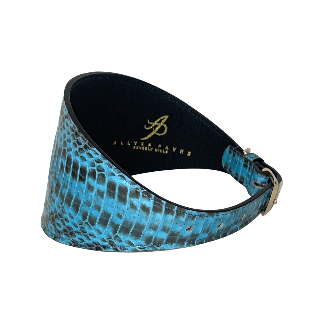 Turquoise & Black 3” Wide Style Collar by Allysa Payne Beverly Hills