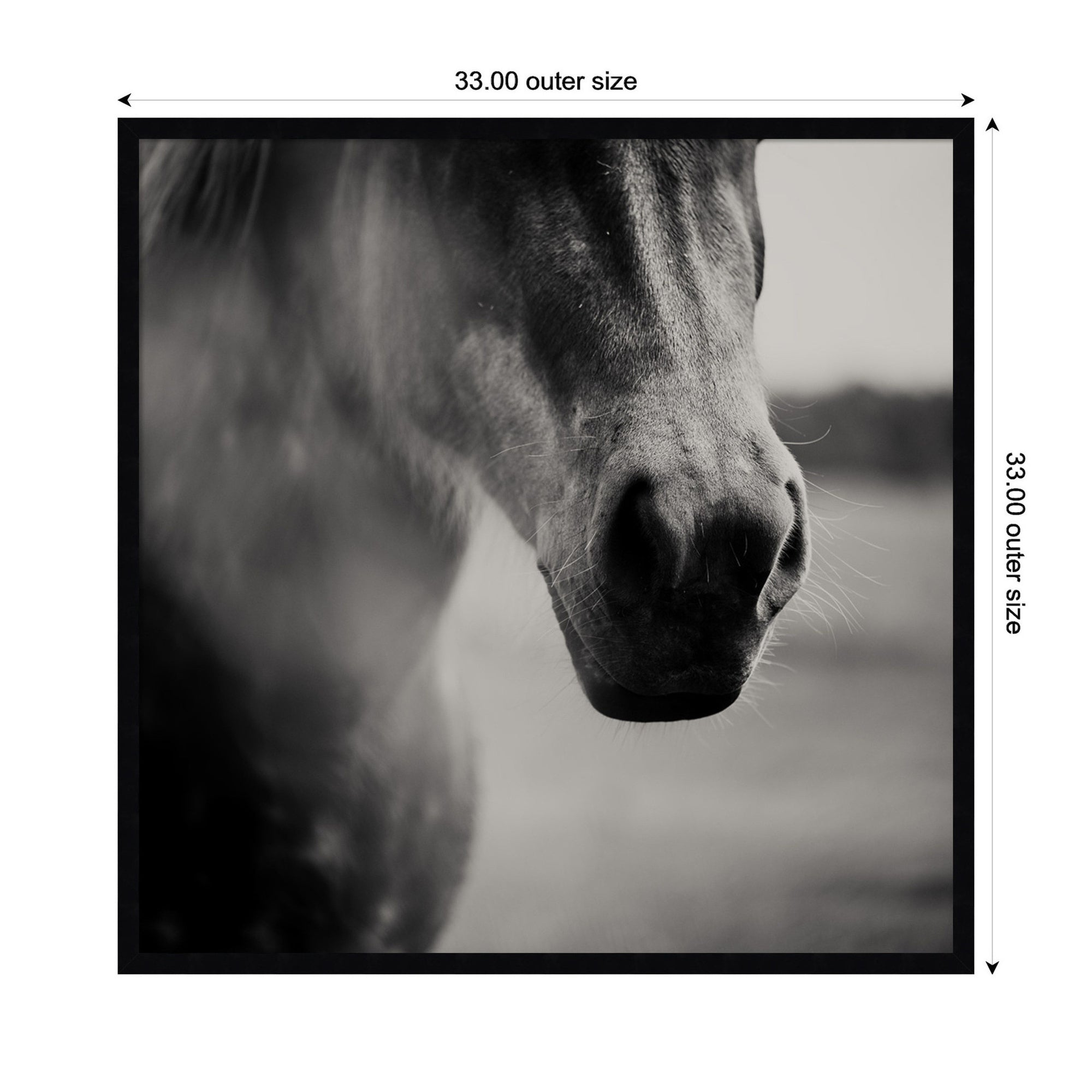 Horse Like Velvet by Laura Evans Framed Wall Art Print
