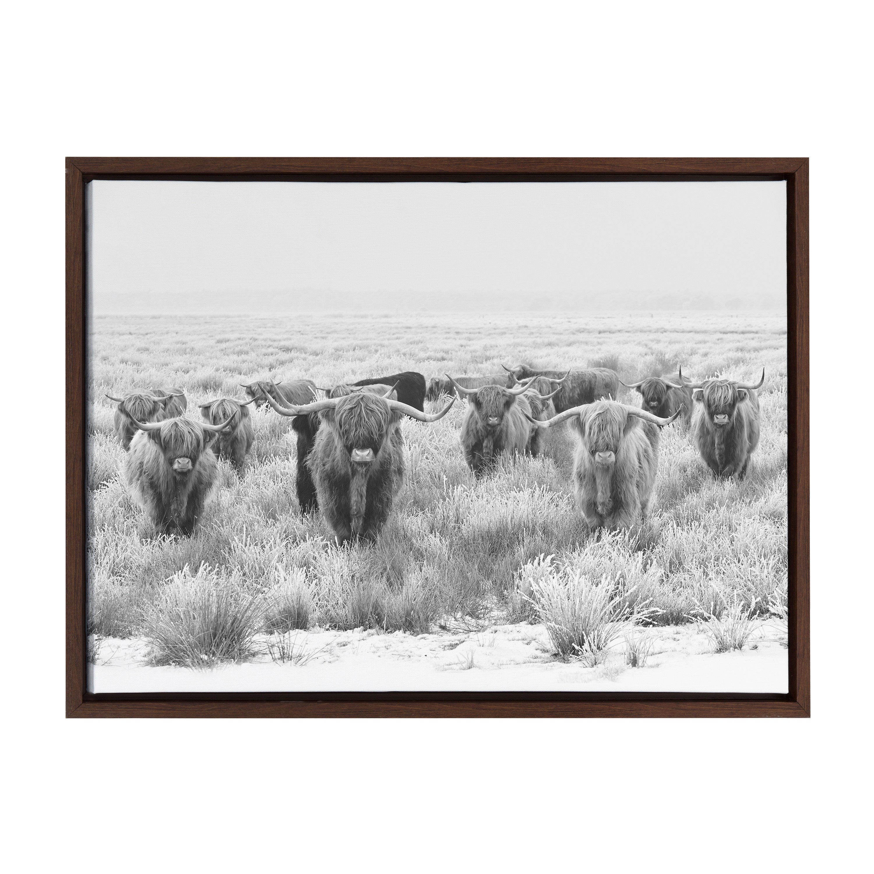 Sylvie Herd of Highland Cows Black and White Framed Canvas by The