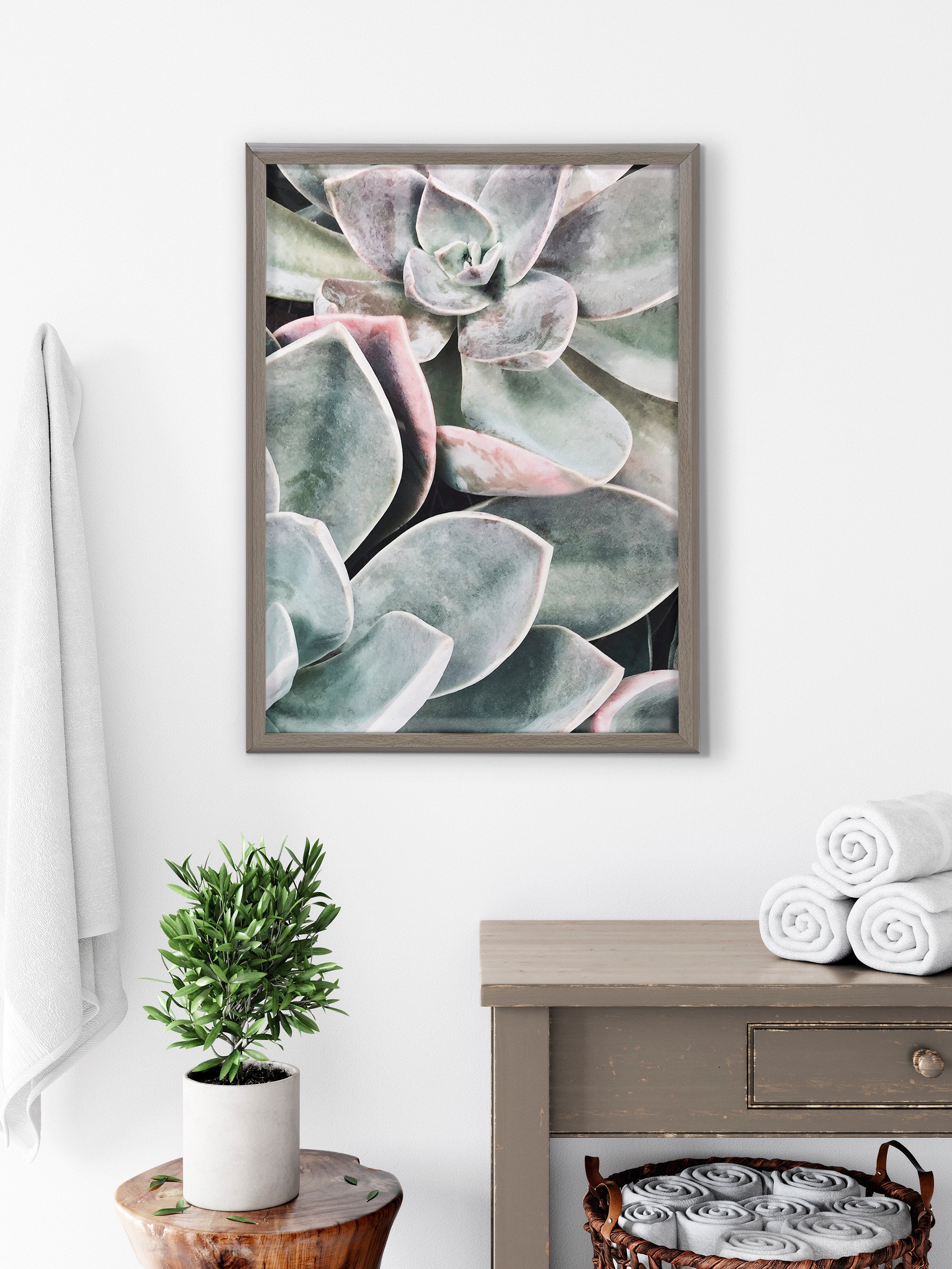 Blake Botanical Succulent Plants 1 Framed Printed Glass by The Creative by kateandlaurel - product image 7 for Resin Society