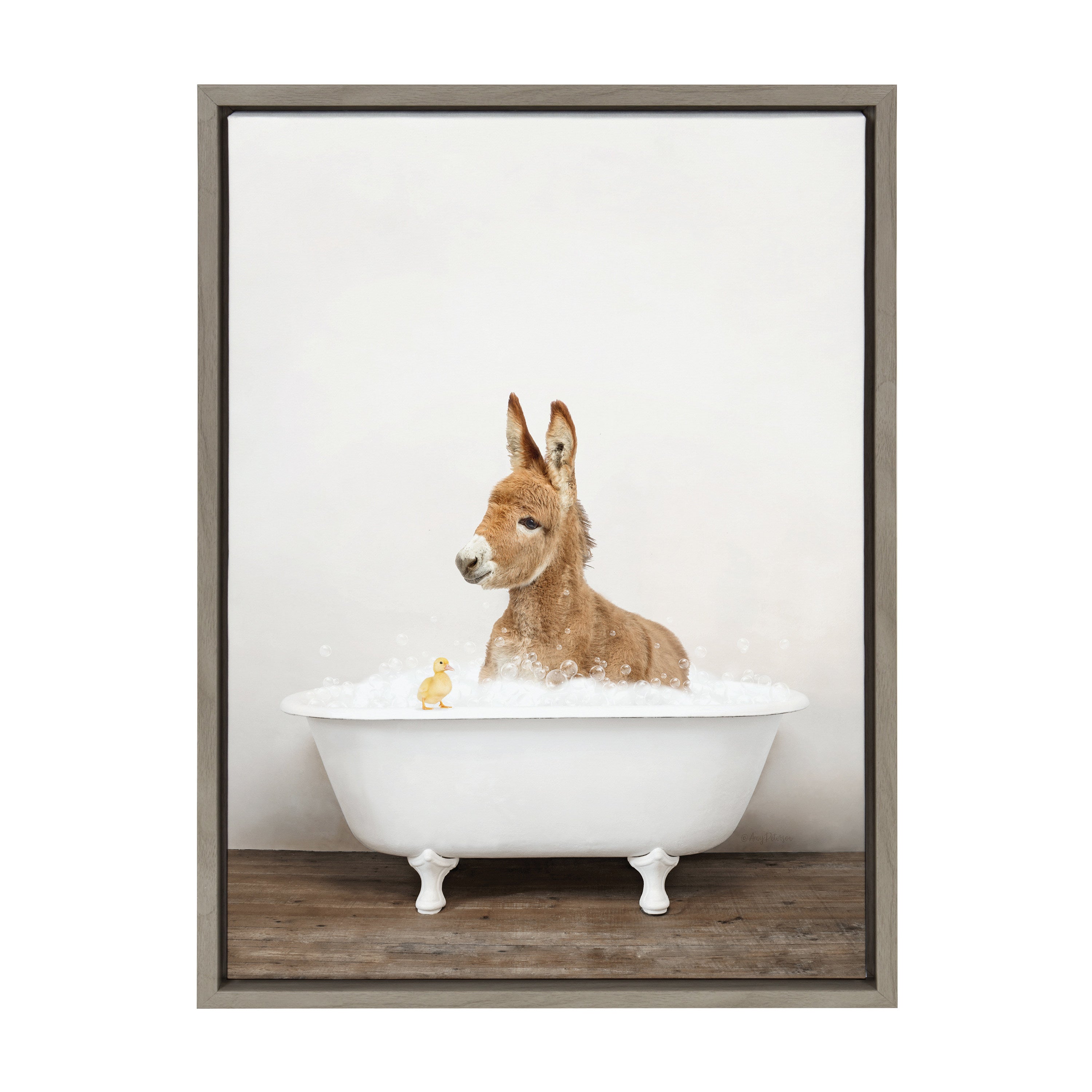 Sylvie Baby Donkey in Rustic Bath Framed Canvas by Amy Peterson Art Studio