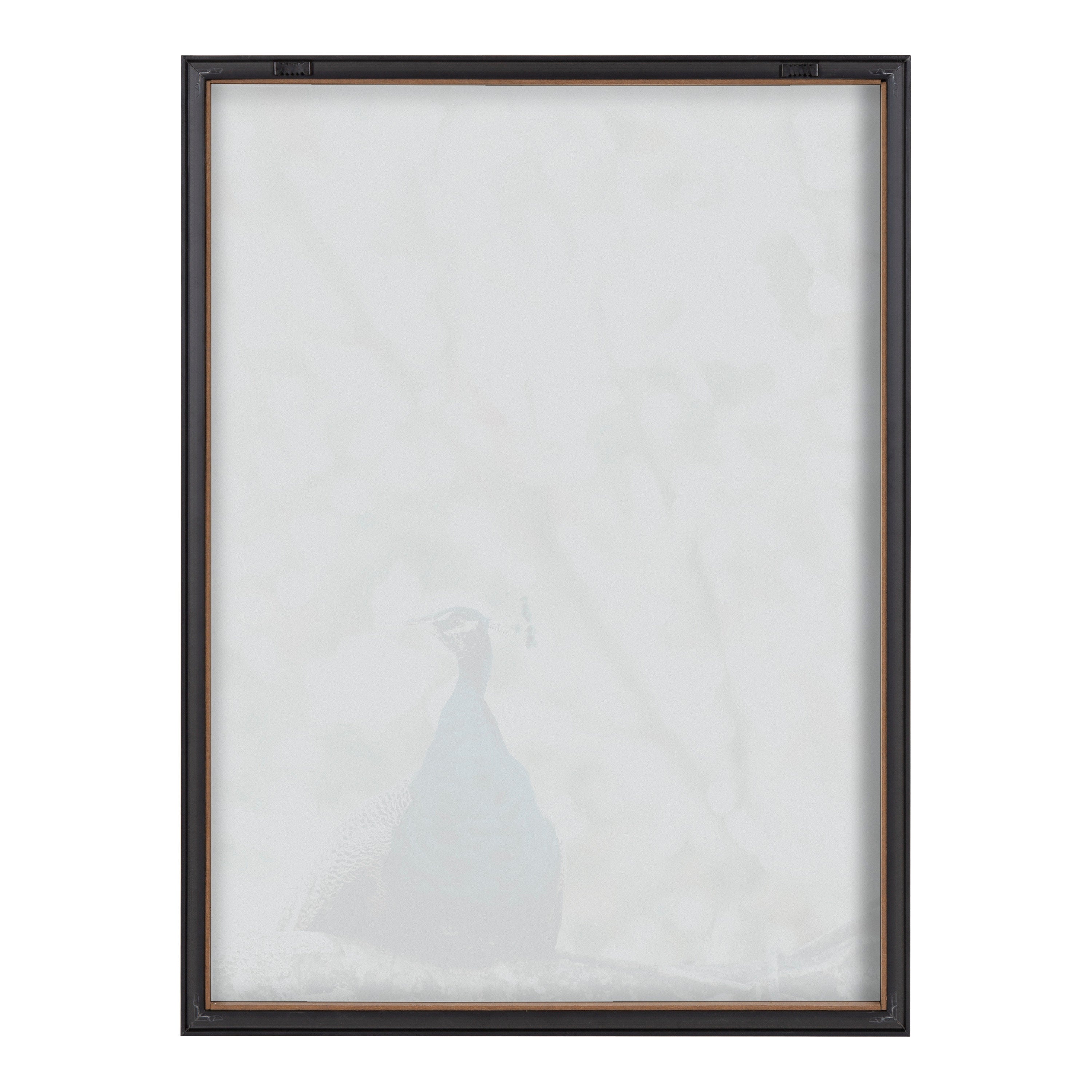 Blake Peacock Framed Printed Glass by Alicia Abla by kateandlaurel - product image 4 for Resin Society