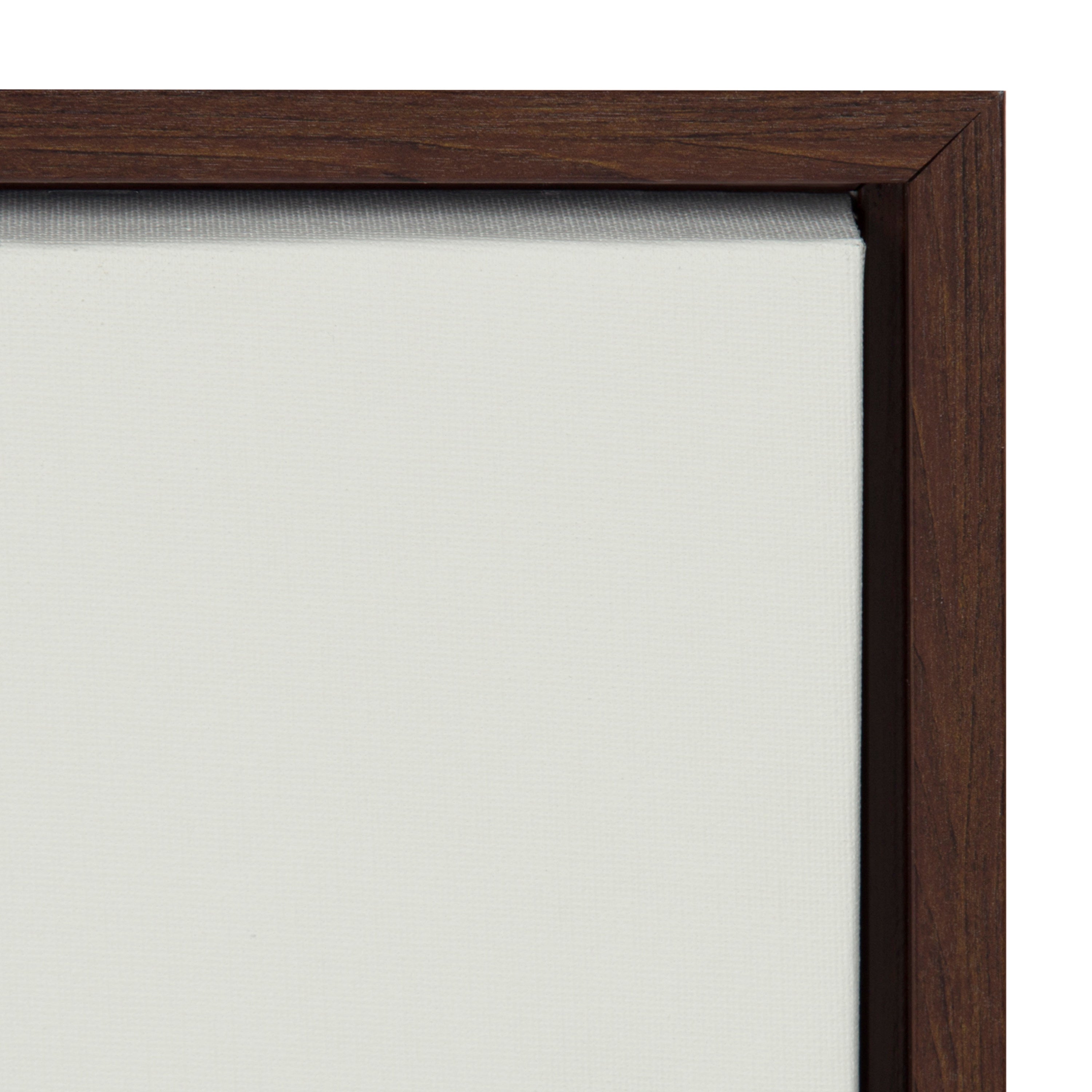 Sylvie Rubber Plant Framed Canvas by kateandlaurel - product image 3 for Resin Society