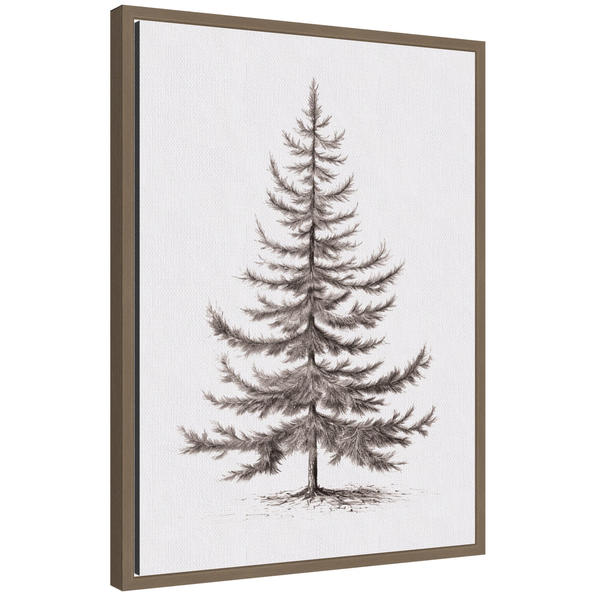 Framed canvas art showing monochrome sketch of vintage evergreen fir tree, detailed branches and needles