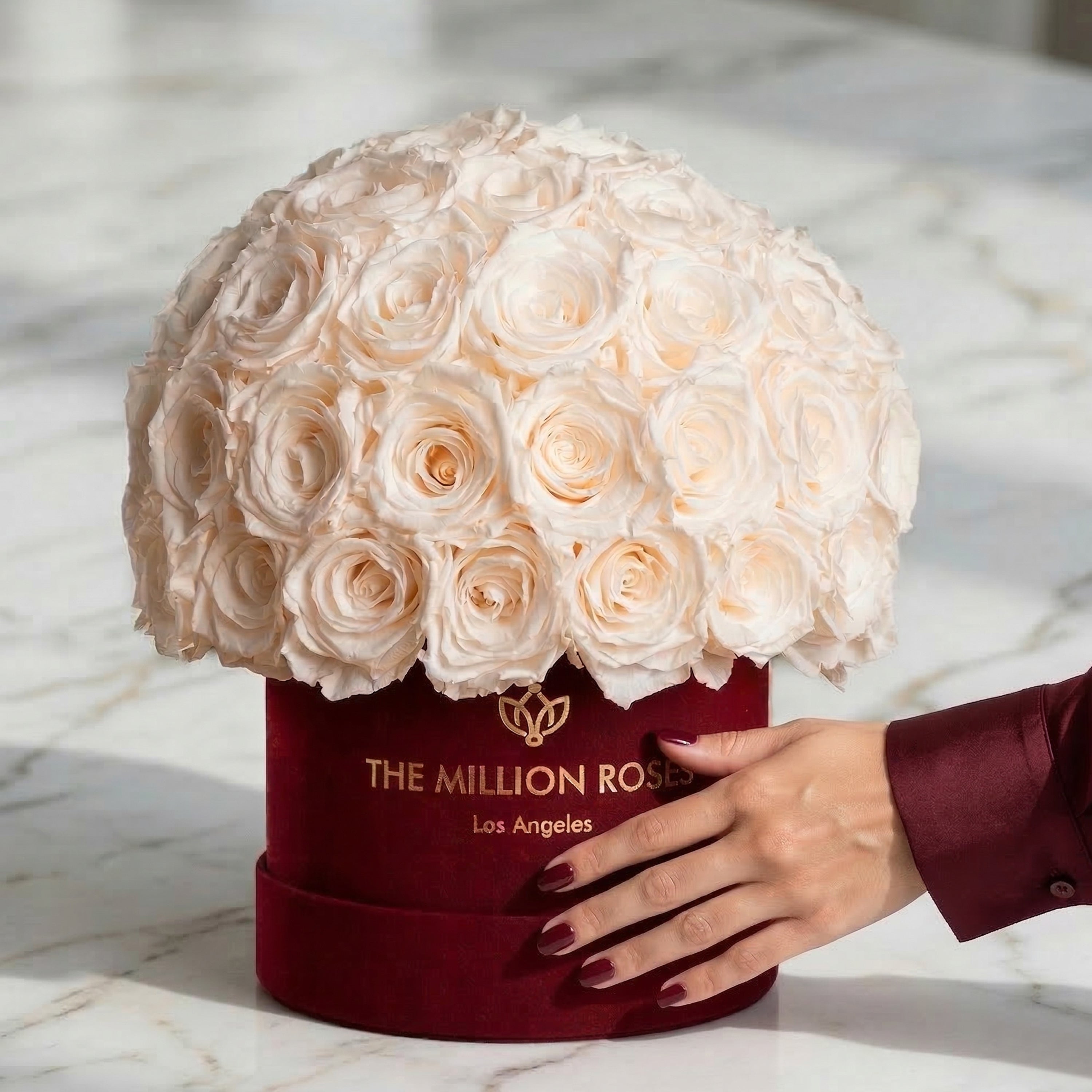 Classic Bordeaux Suede Superdome Box by The Million Roses - product image 4 for Resin Society