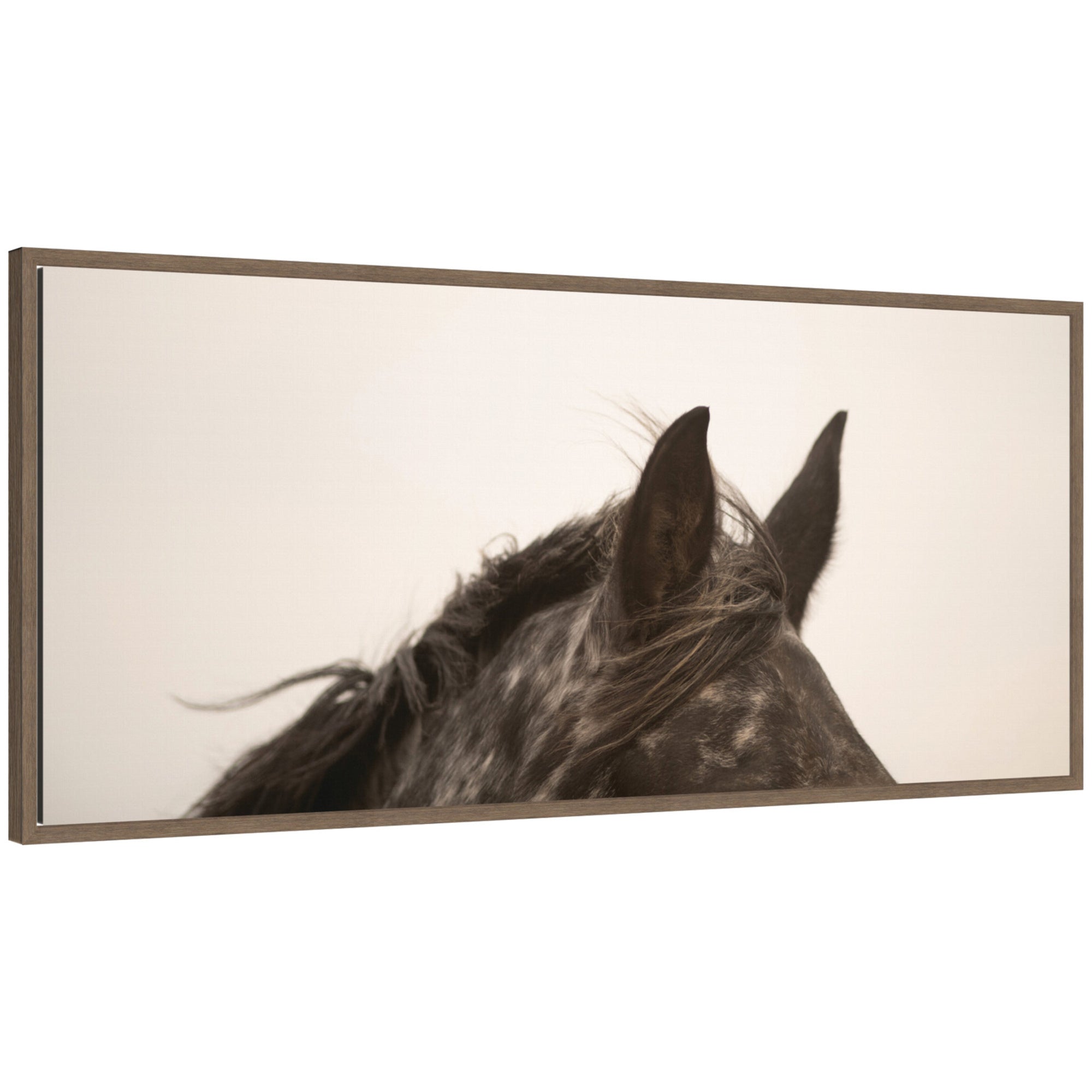 Horse Ears Panel by Crystal Lynn Collins Framed Canvas Wall Art Print