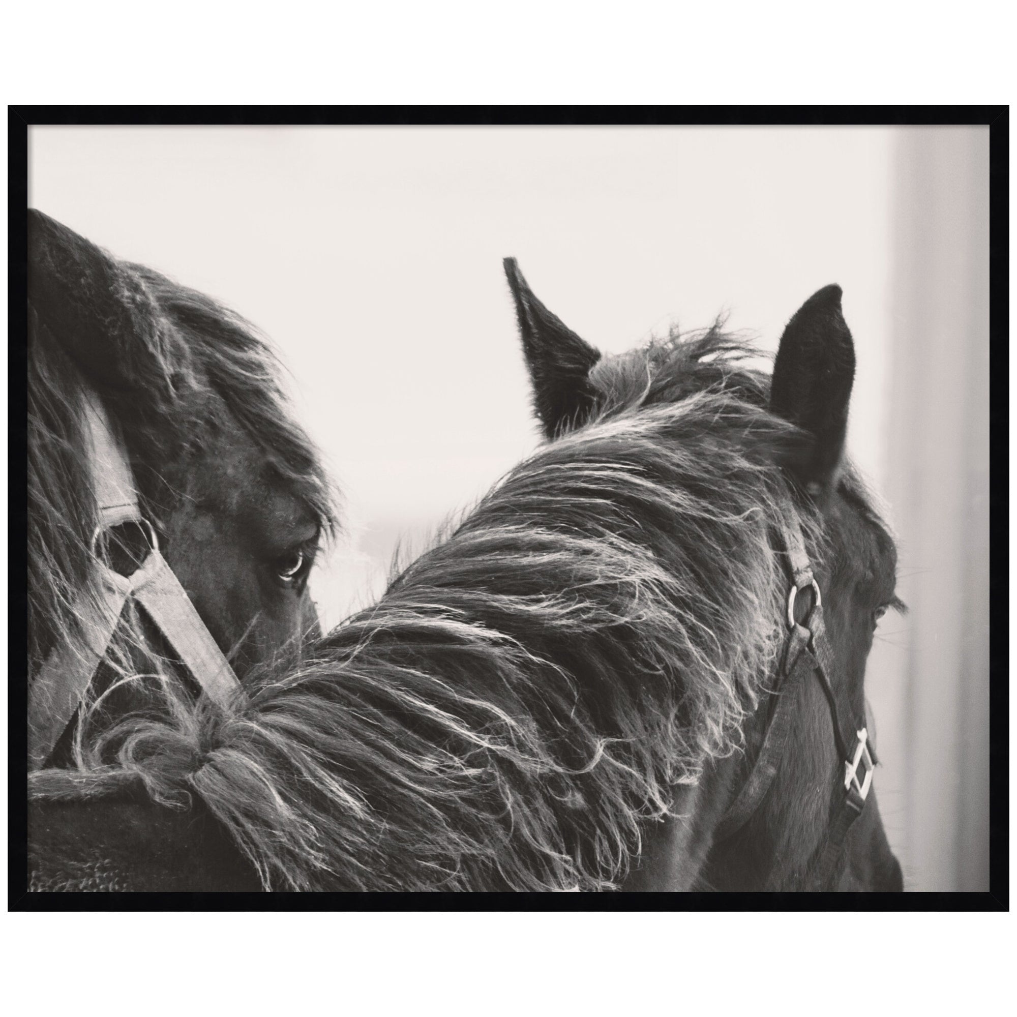 Black Horses by Emiko and Mark Franzen F2 Images Framed Wall Art Print