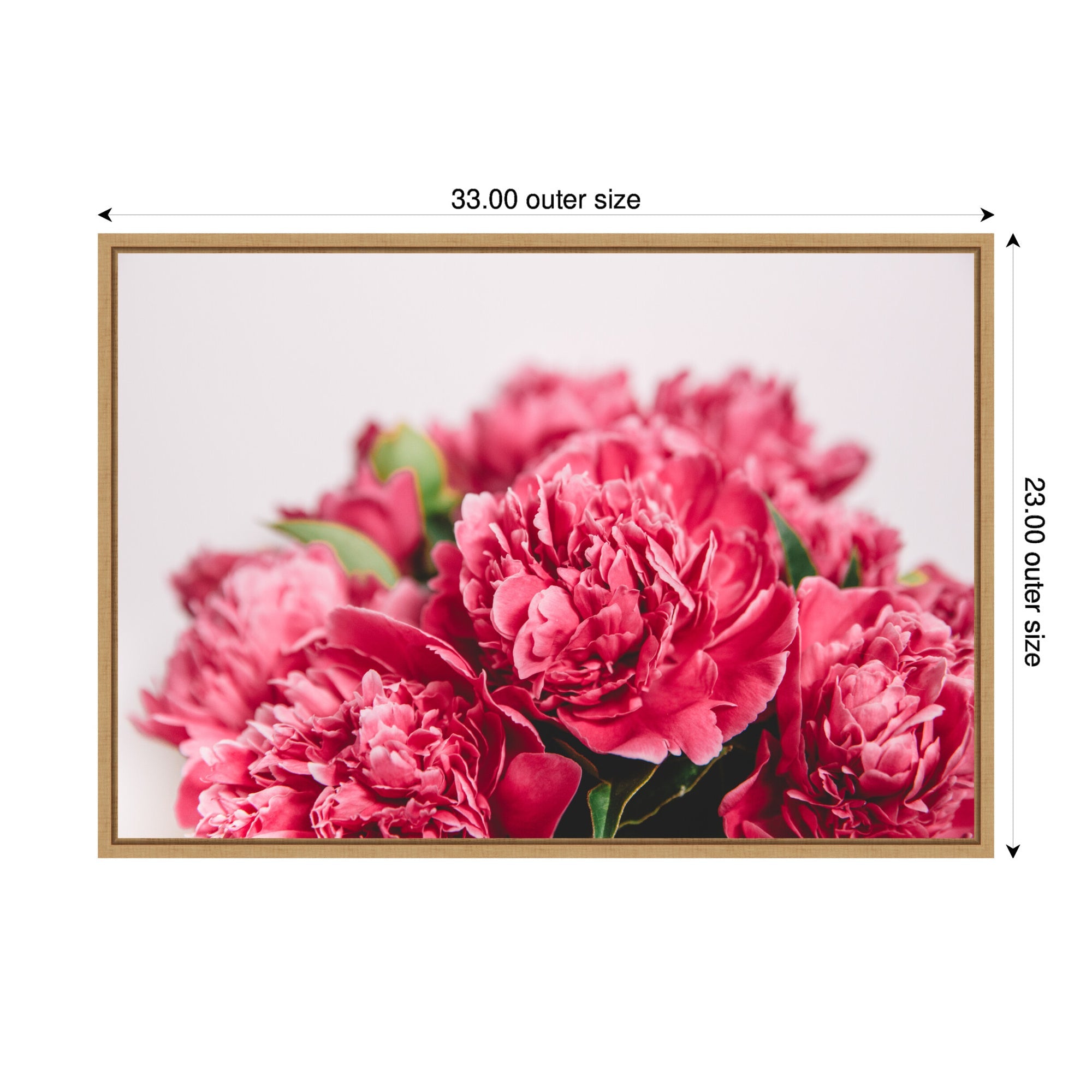 Sylvie Stunning Bright Pink Flowers Framed Canvas by Patricia Hasz
