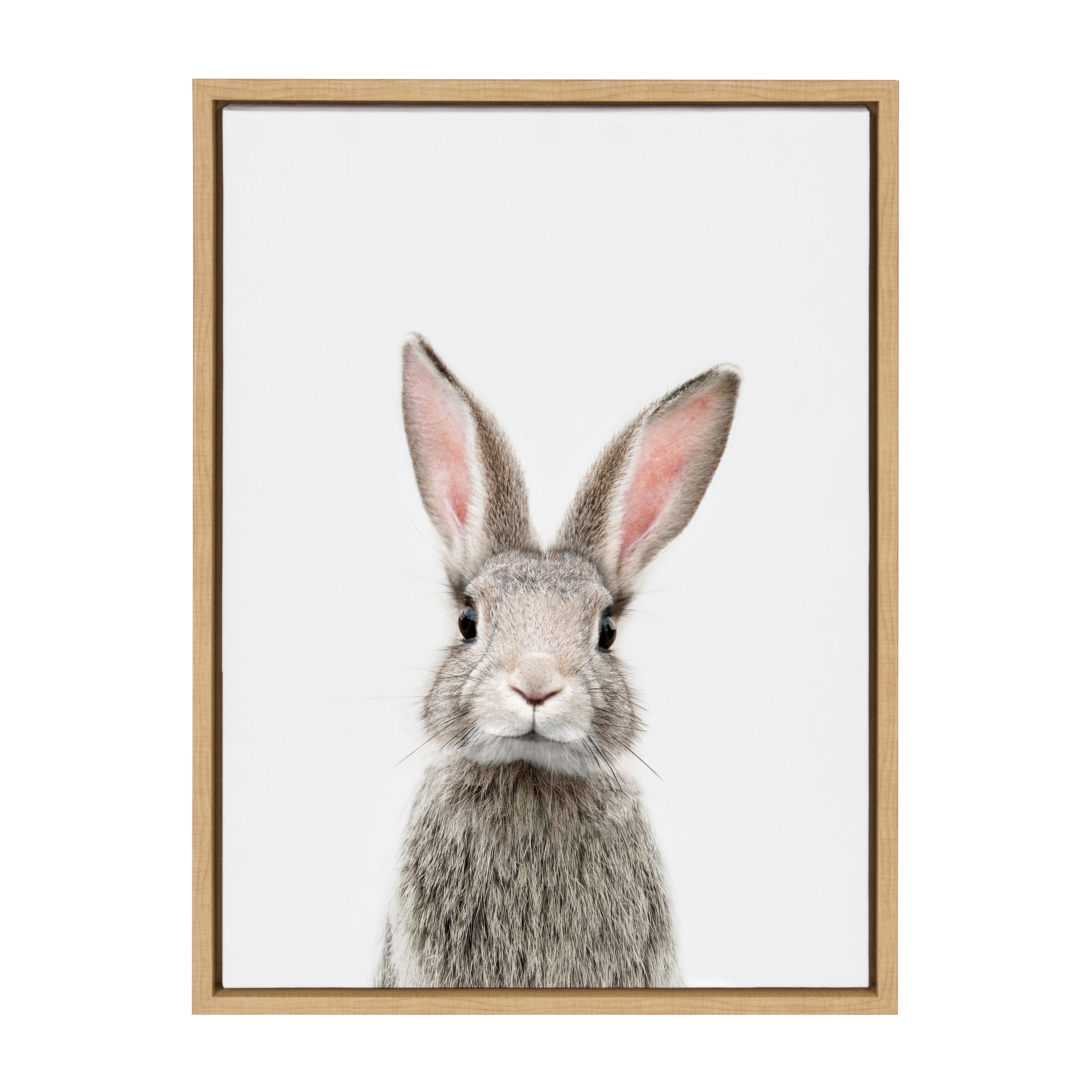 Sylvie Young Rabbit Framed Canvas by Amy Peterson Art Studio