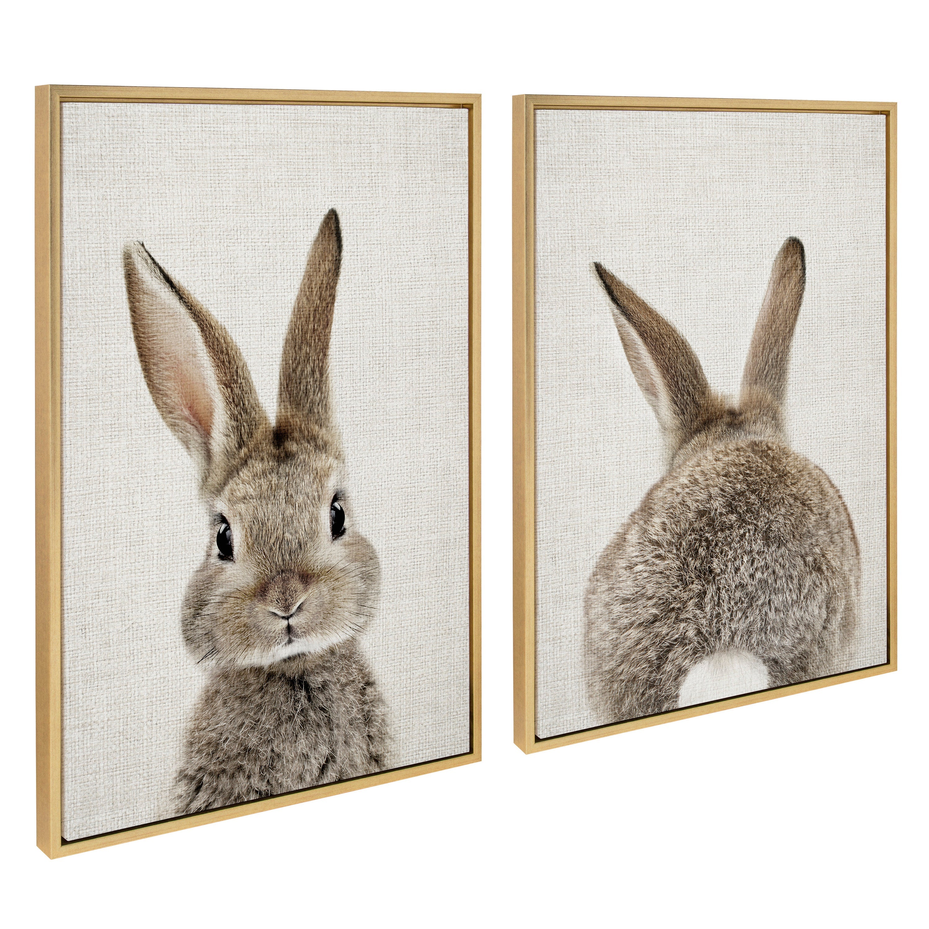 Sylvie Bunny Portrait and Bunny Tail Framed Canvas Art Set by Amy Peterson Art Studio