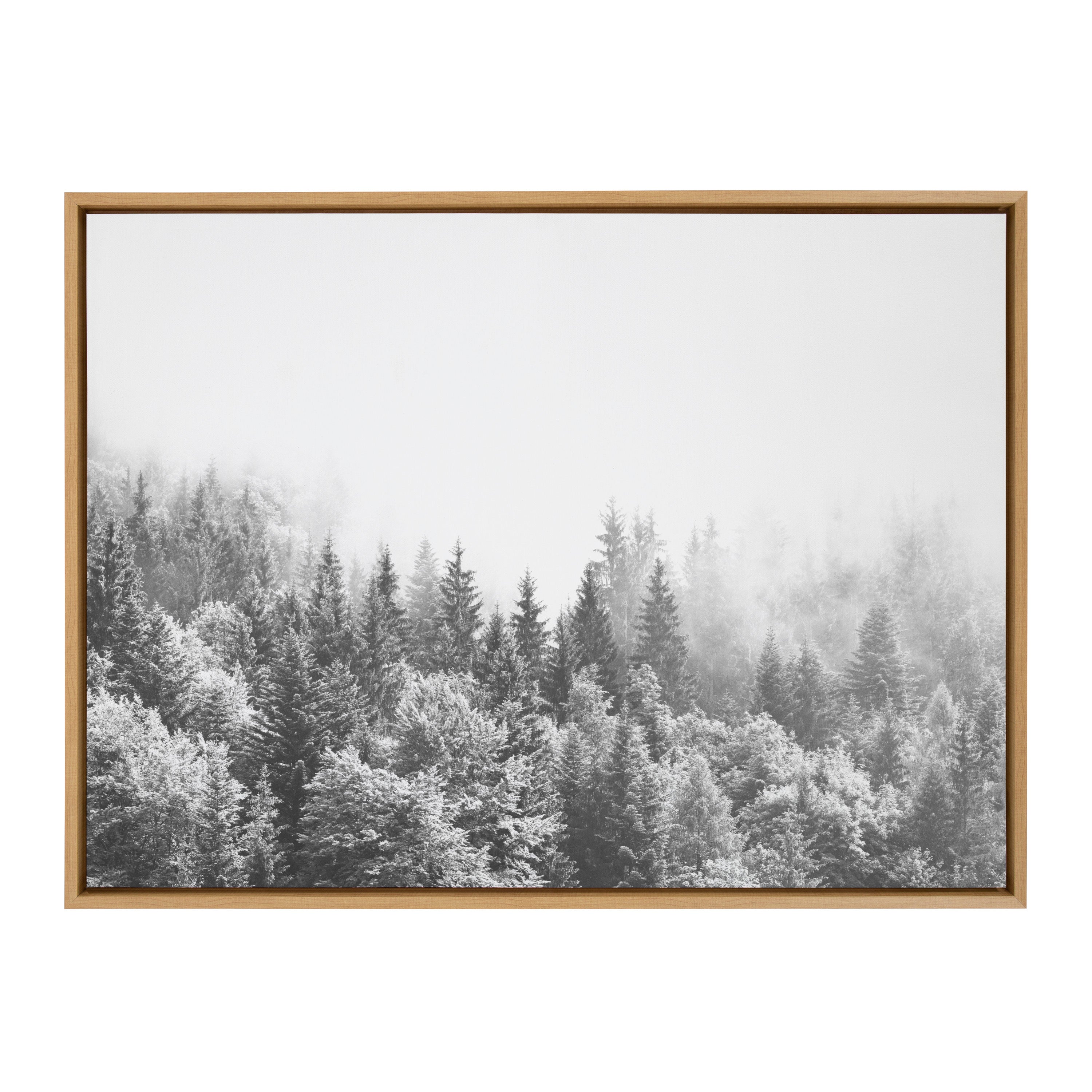 Sylvie Forest On A Foggy Day BW Framed Canvas