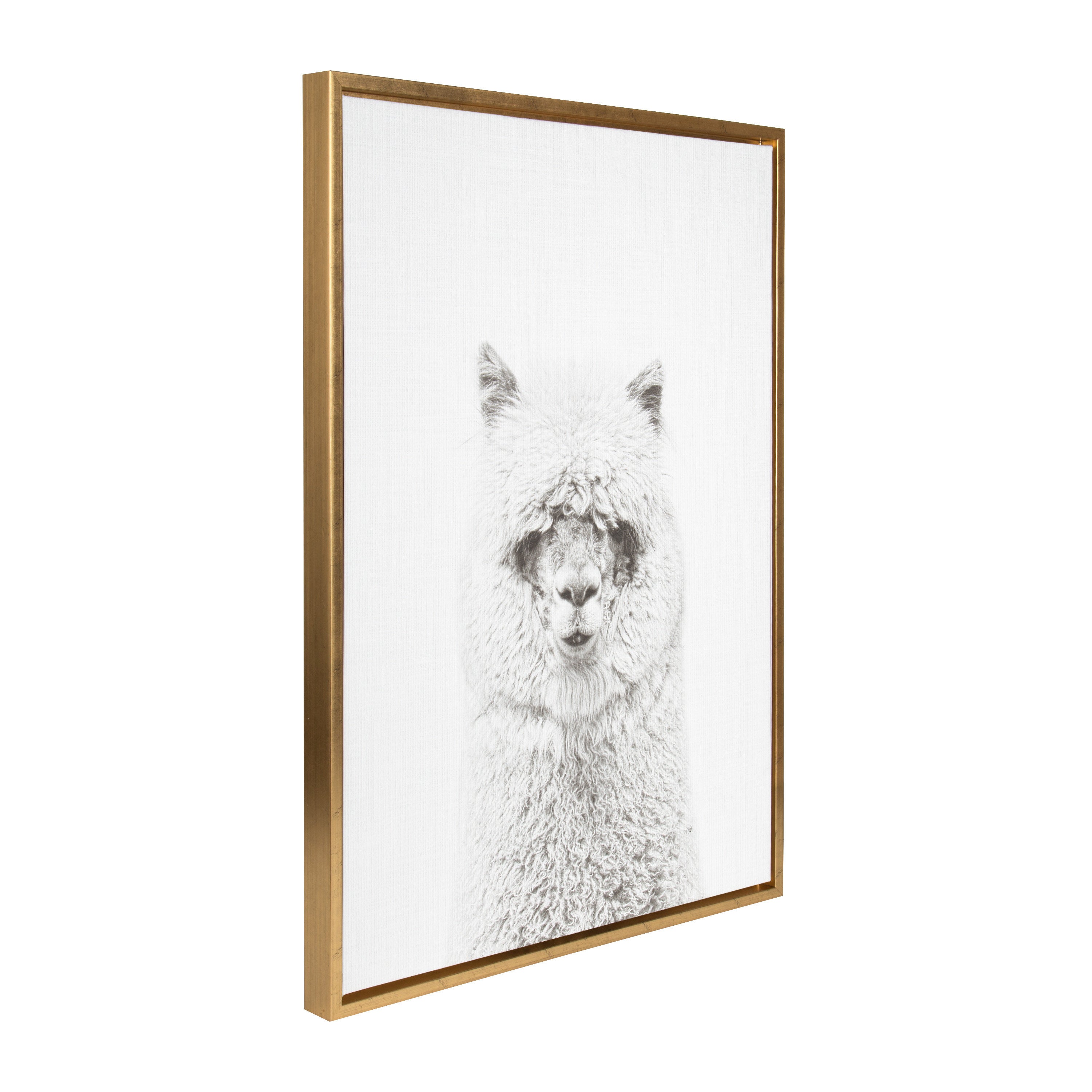 Sylvie Hairy Alpaca Framed Canvas by Simon Te of Tai Prints