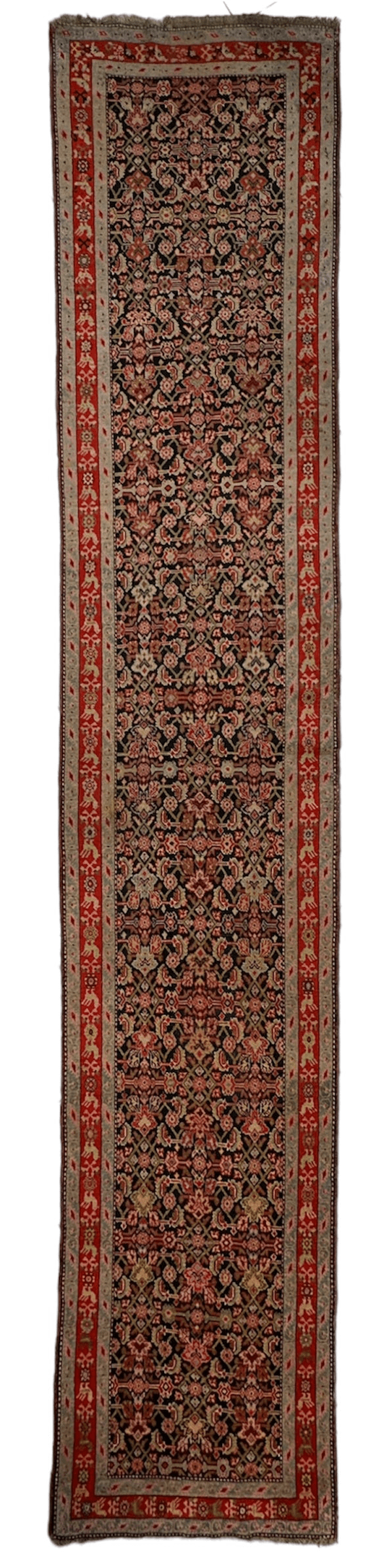 3’4” x 17’ Karabkah Antique Caucasian Wool on Wool Runner by Rugistan - product image 7 for Resin Society