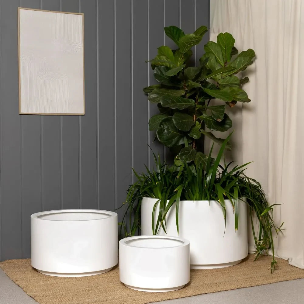 Shoob Cylindrical Planter - The Balcony Garden US