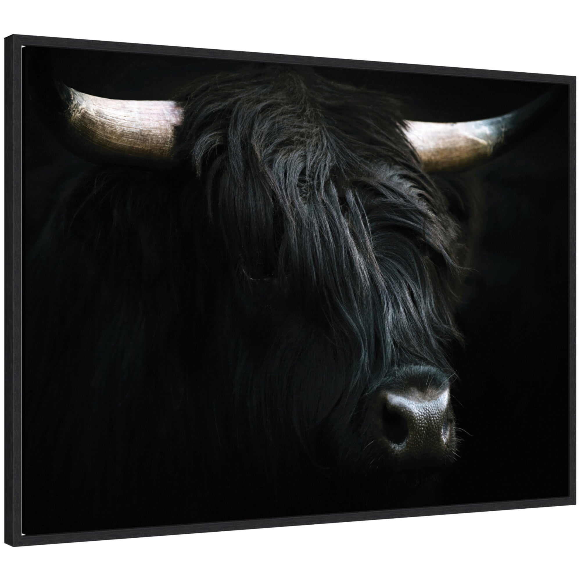 Framed canvas of a minimalist black Highland cow artwork by Michael Schauer showing the cow’s face with long horns against a white background