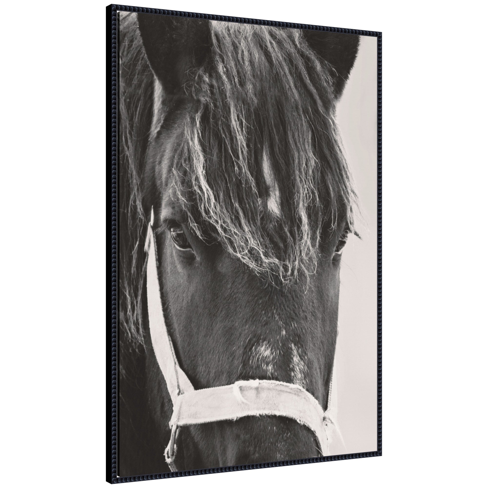 Framed canvas print of a black horse by Emiko and Mark Franzen in a Sylvie Beaded frame