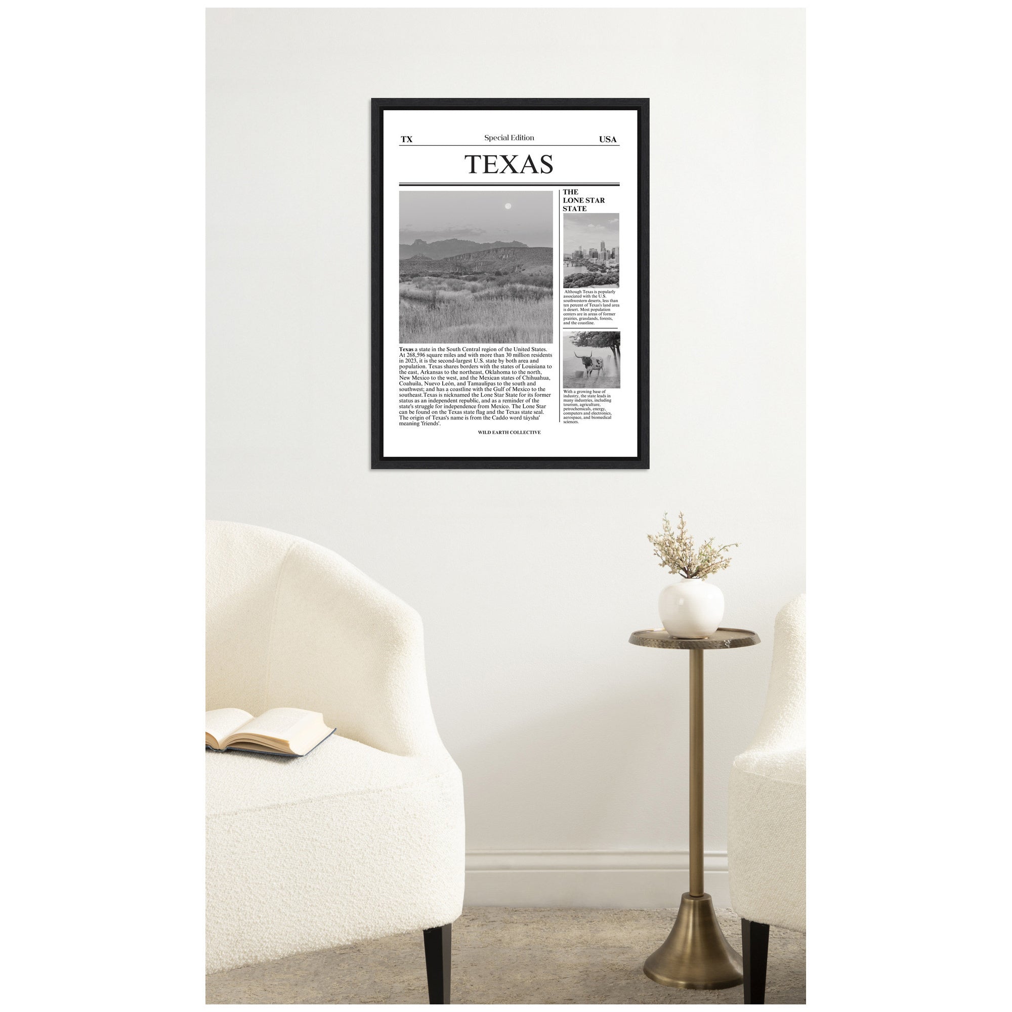 Texas Article by Megan Ryan Framed Canvas Wall Art Print