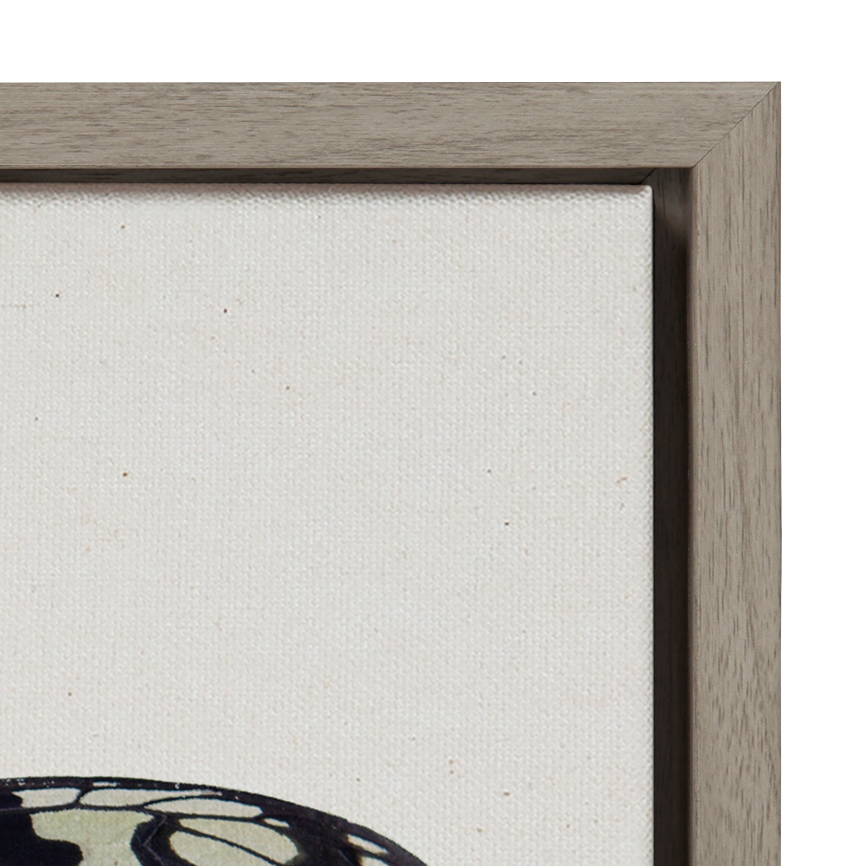 Sylvie Two Tone Butterfly Framed Canvas by kateandlaurel - product image 3 for Resin Society
