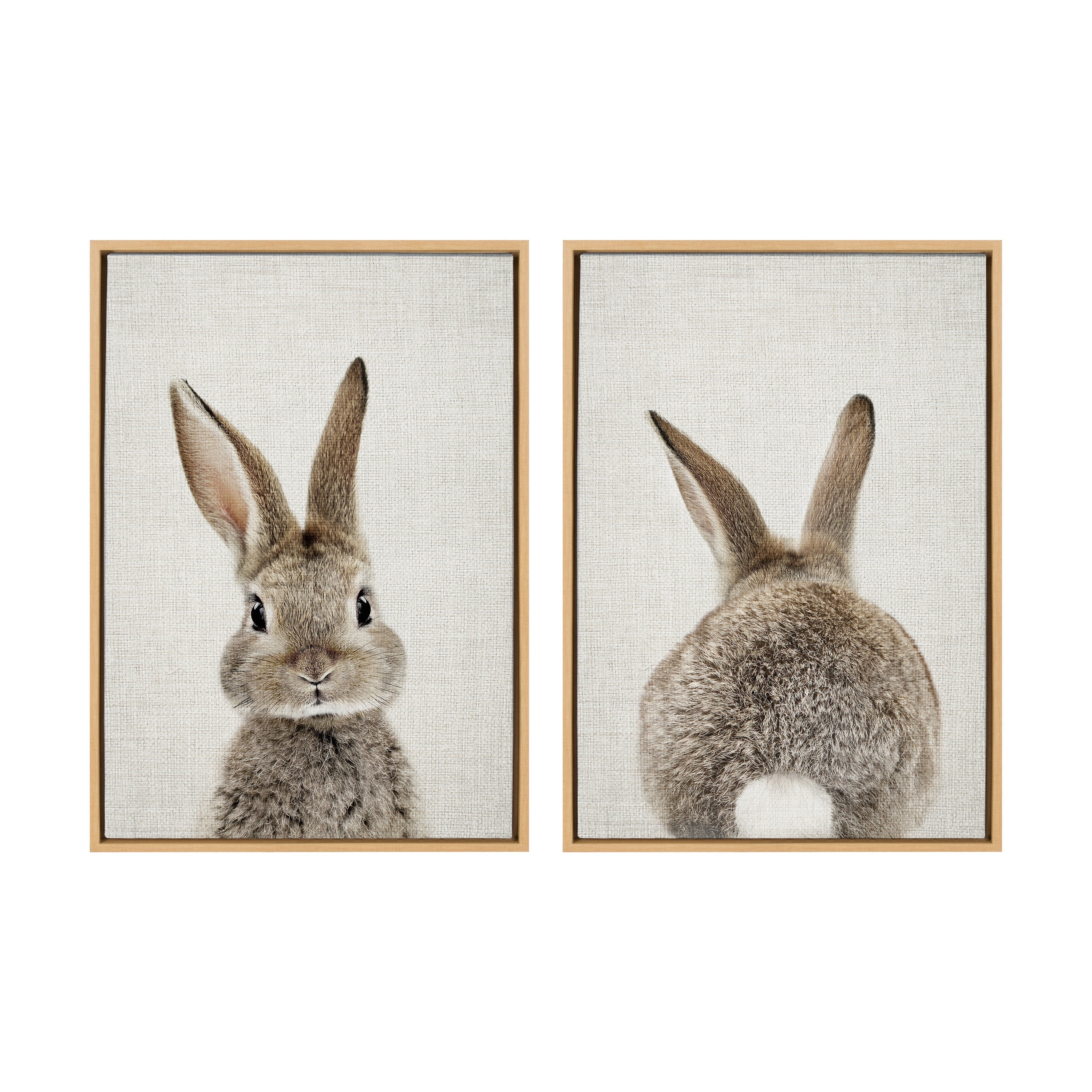 Sylvie Bunny Portrait and Bunny Tail Framed Canvas Art Set by Amy Peterson Art Studio