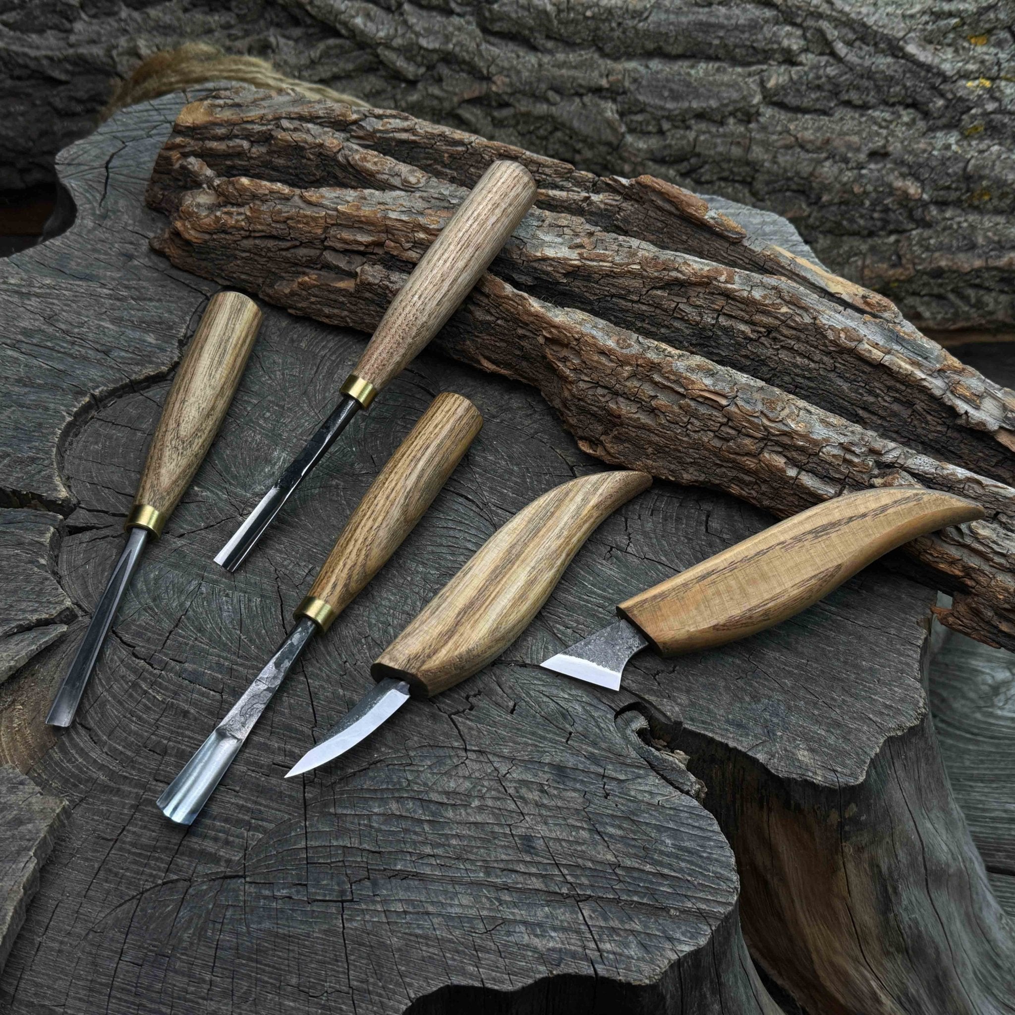 5-Piece Detail Wood Carving Set with ash wood handles and high-carbon steel blades