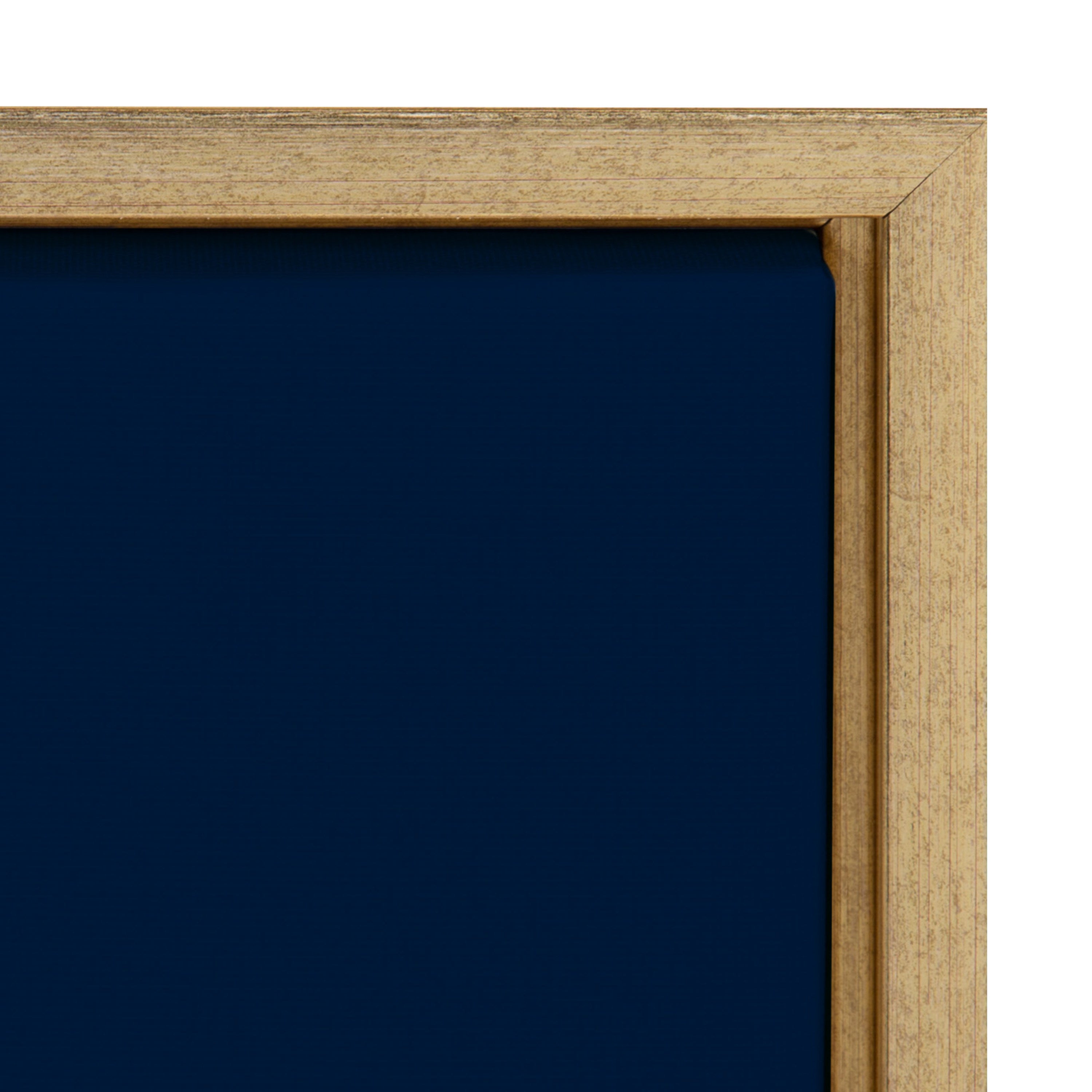 Sylvie Floralis C Framed Canvas