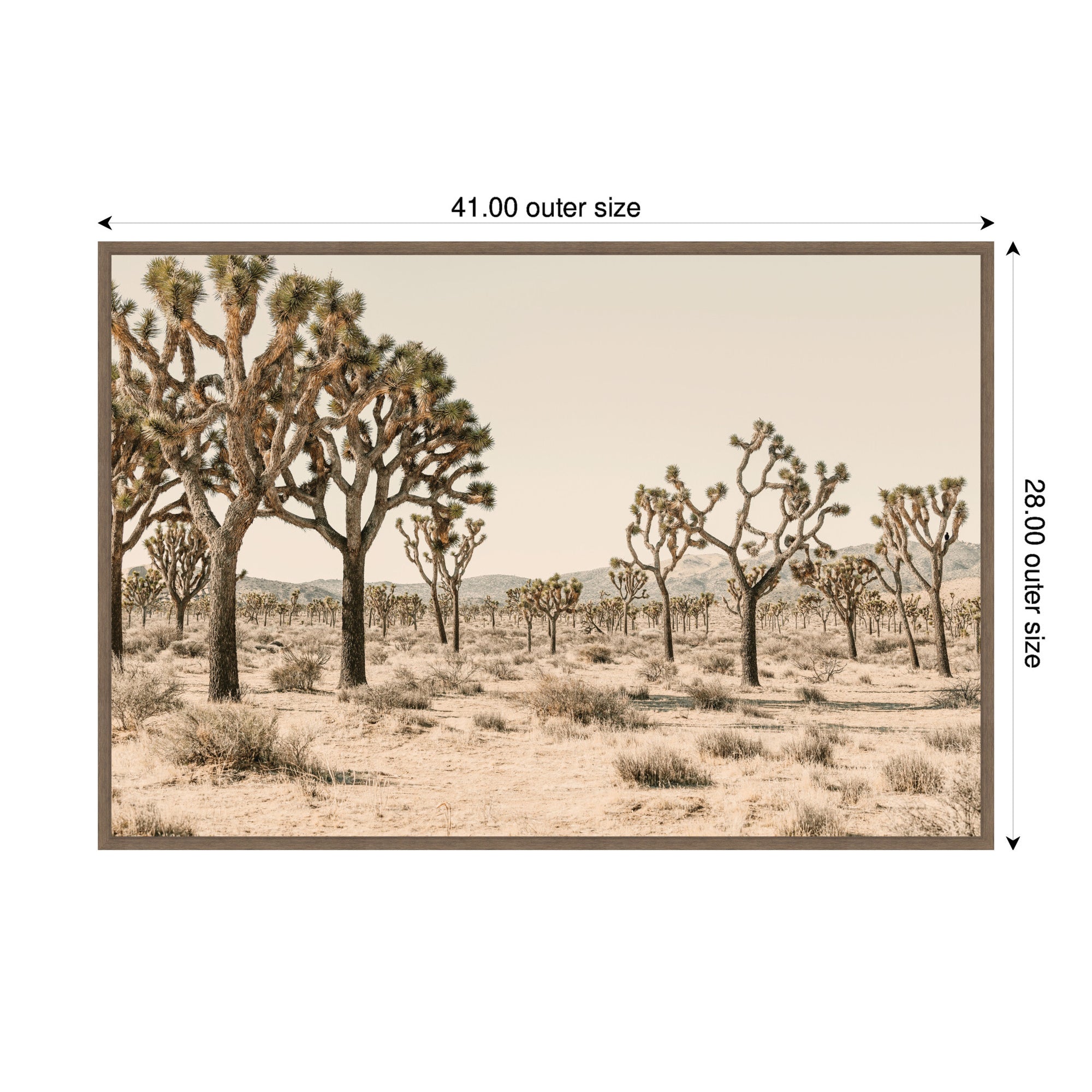 Joshua Tree No.
2 by Alicia Bock Framed Canvas Wall Art Print