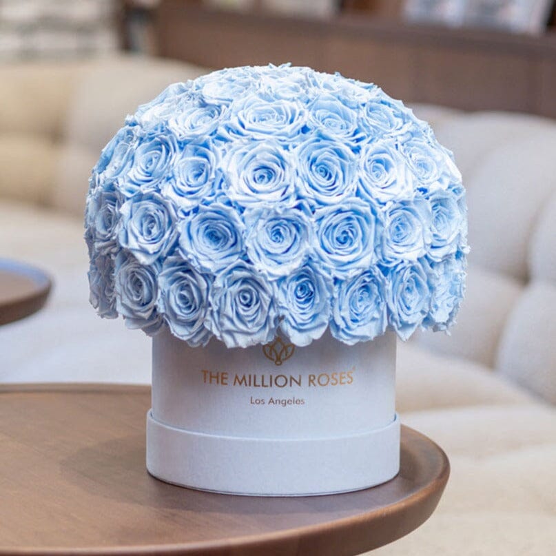 Classic Light Blue Suede Superdome Box by The Million Roses - product image 5 for Resin Society