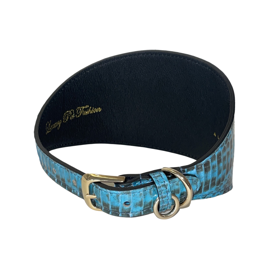 Turquoise & Black 3” Wide Style Collar by Allysa Payne Beverly Hills