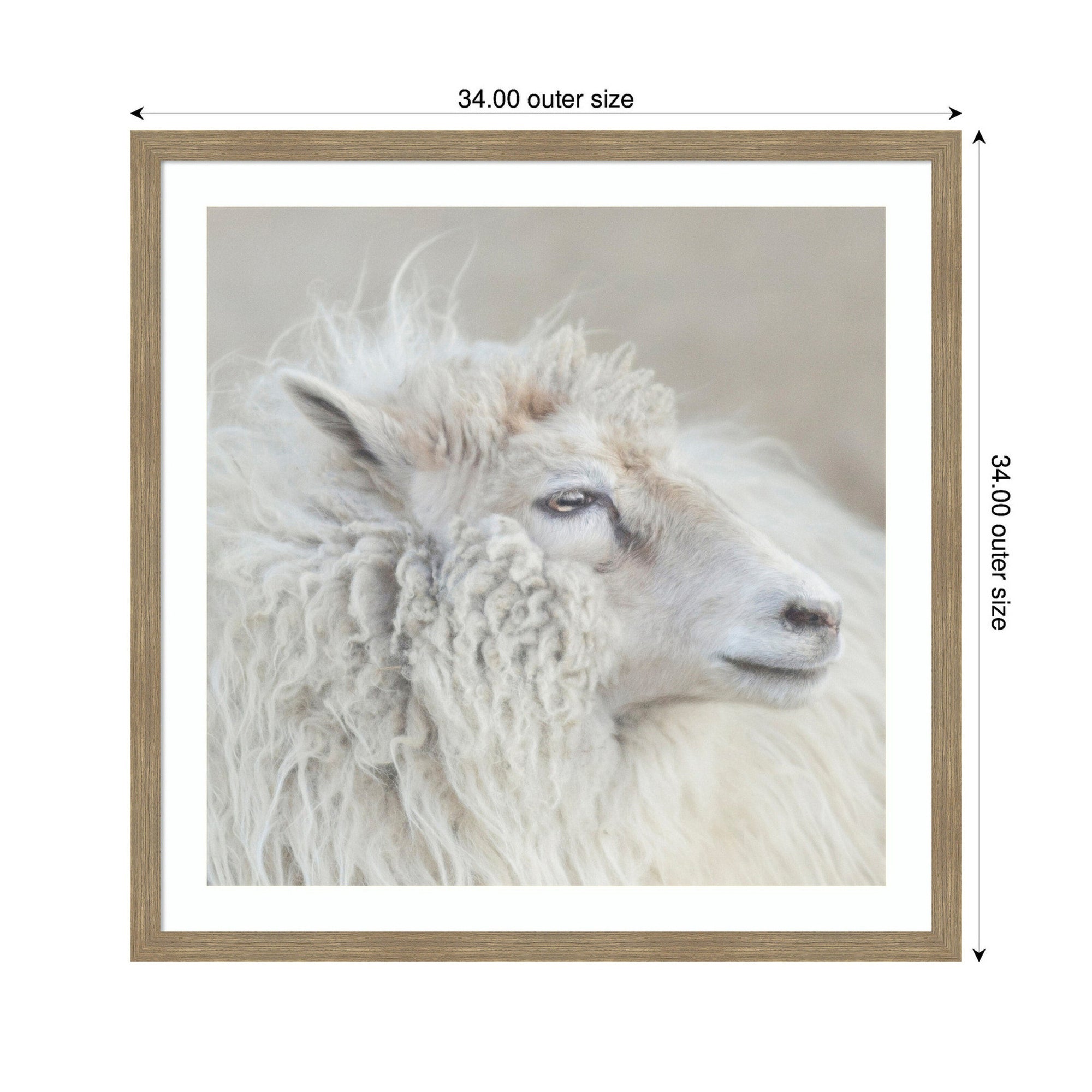 Harry Crop by Emiko and Mark Franzen F2 Images Framed Wall Art Print