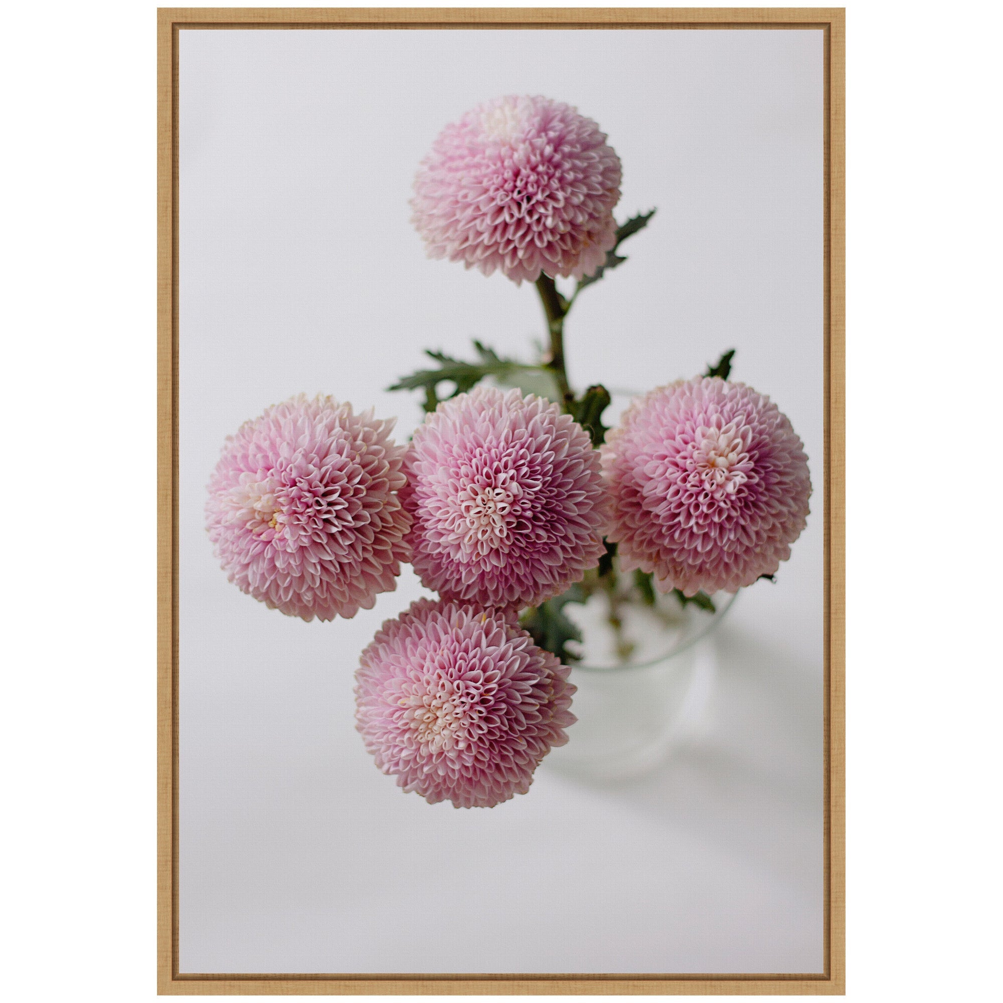 Sylvie Bouquet of Pastel Pink Dahlias Framed Canvas by Kristy Campbell