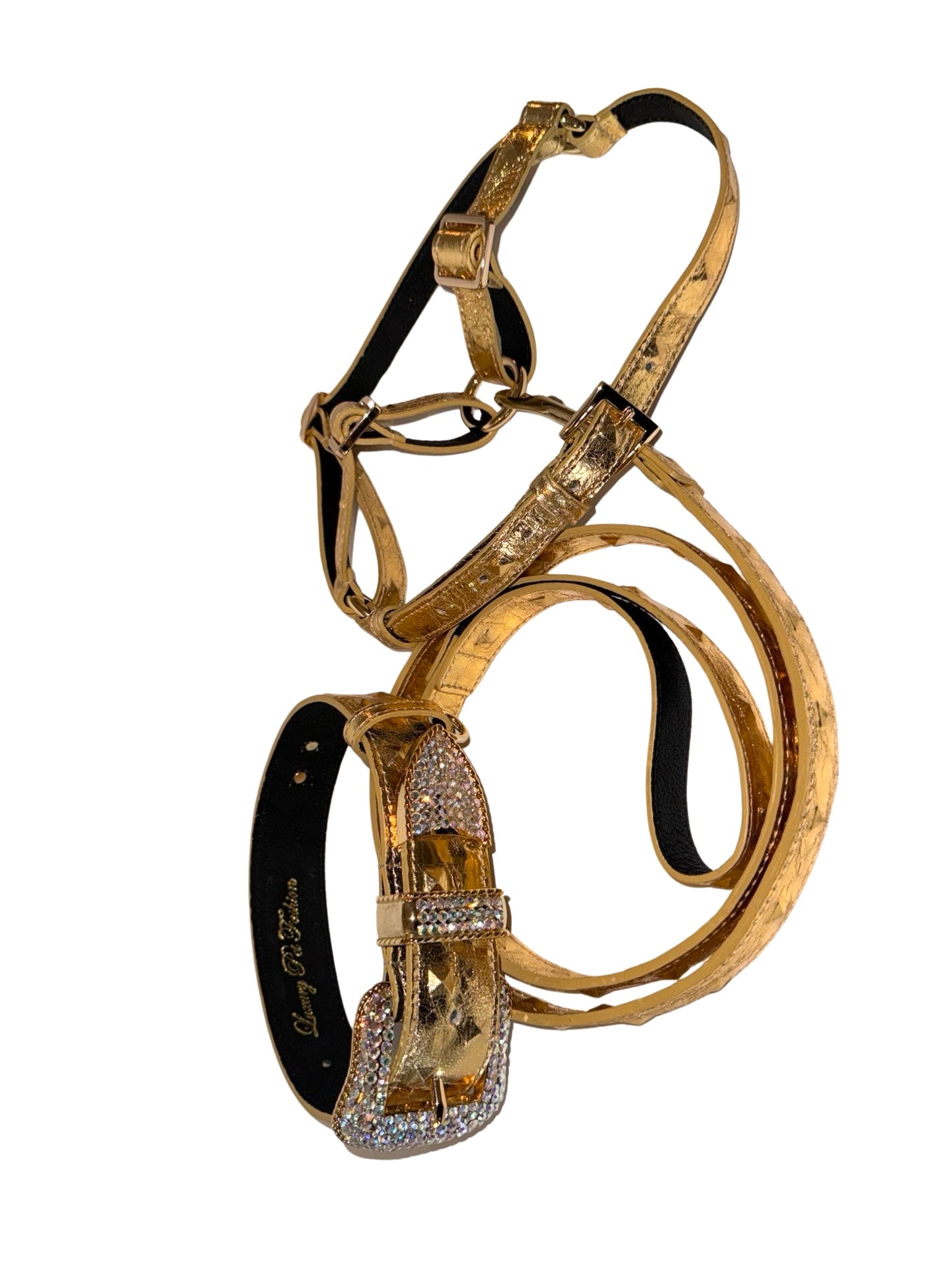 Glam Gold Embossed Studded Italian Leather Collar by Allysa Payne Beverly Hills - product image 6 for Resin Society