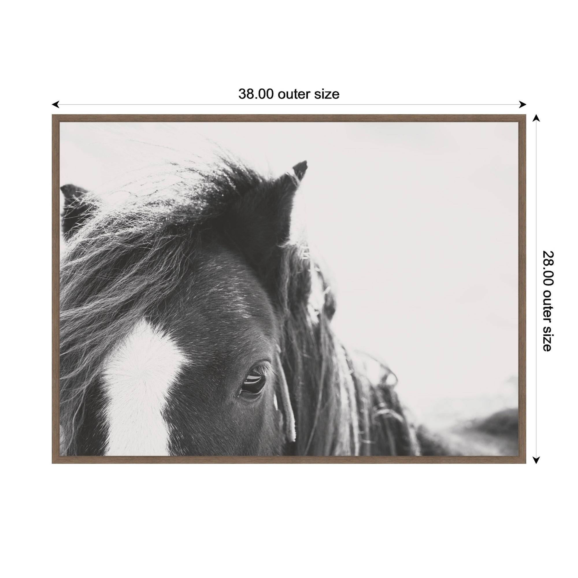 AA Noble by Alicia Abla Framed Canvas Wall Art Print