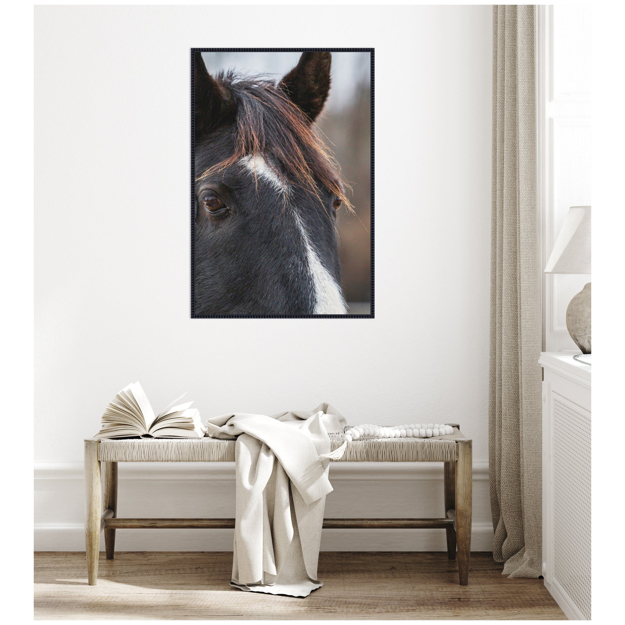 Black and White Horse by Emiko and Mark Franzen F2 Images Framed Canvas Wall Art Print