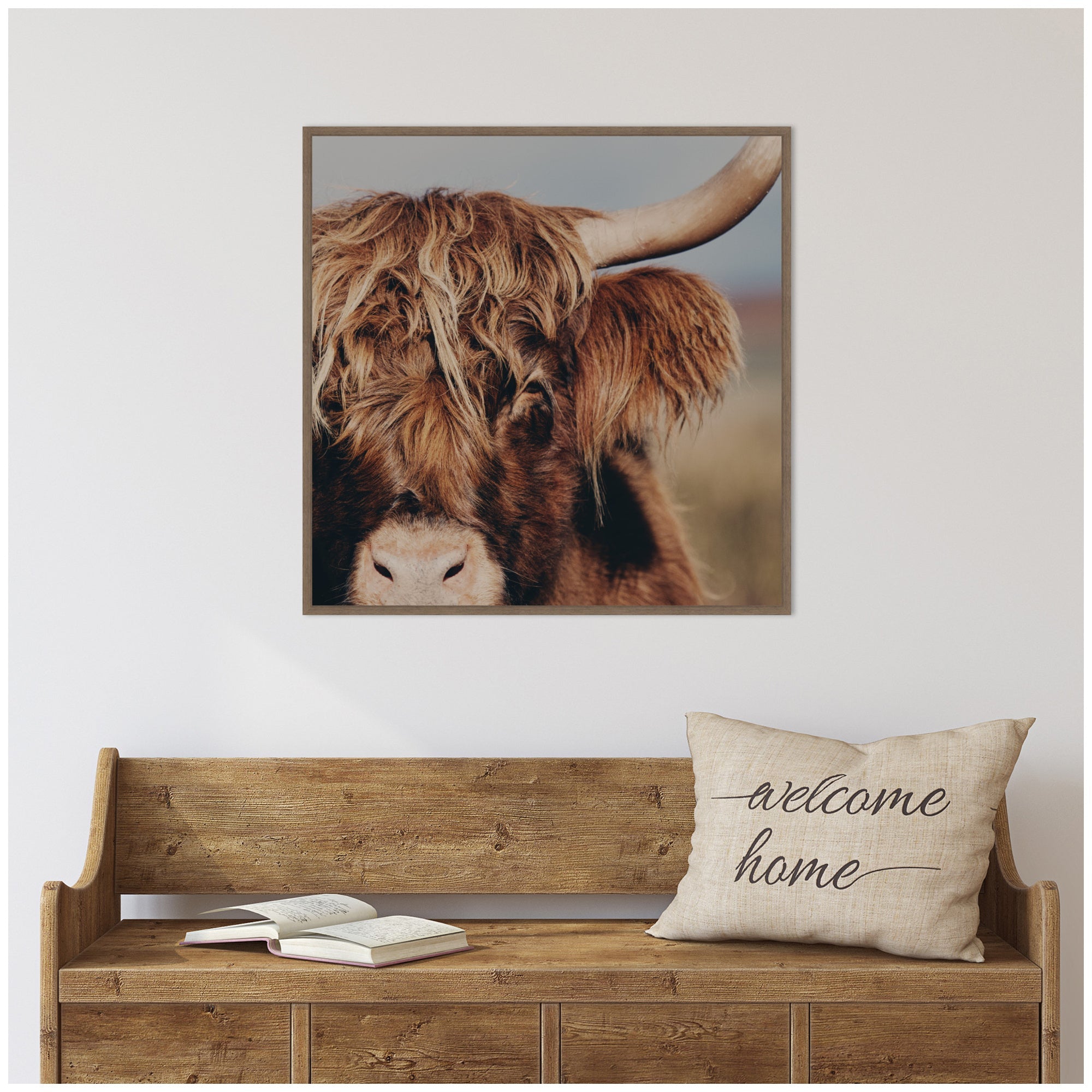 Nosy Highland by Laura Evans Framed Canvas Wall Art Print
