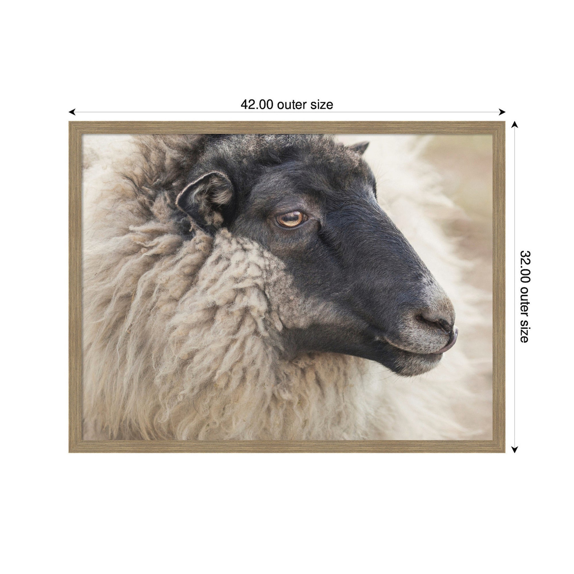 Edward Crop by Emiko and Mark Franzen F2 Images Framed Wall Art Print