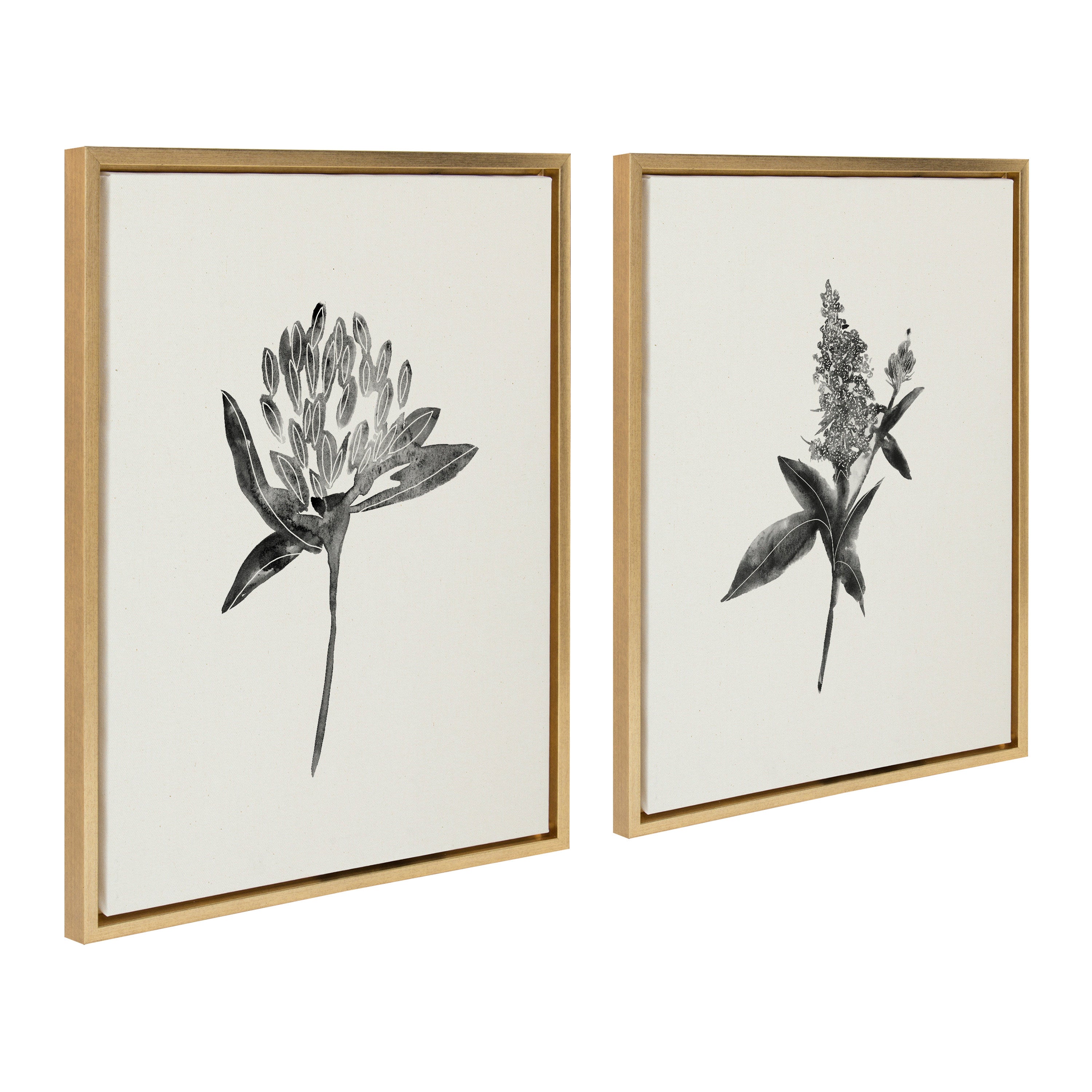 Sylvie Vintage Botanical 1 and 2 Framed Canvas by kateandlaurel - product image 17 for Resin Society