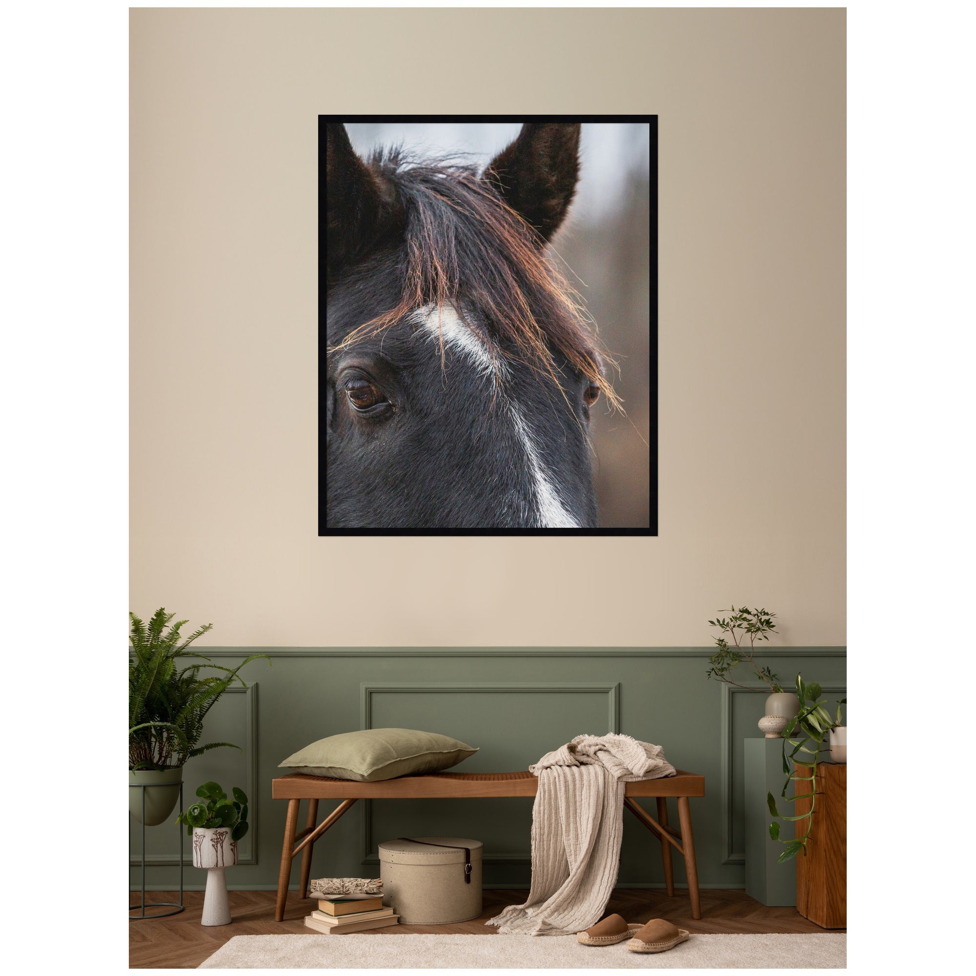 Black and White Horse by Emiko and Mark Franzen F2 Images Framed Wall Art Print