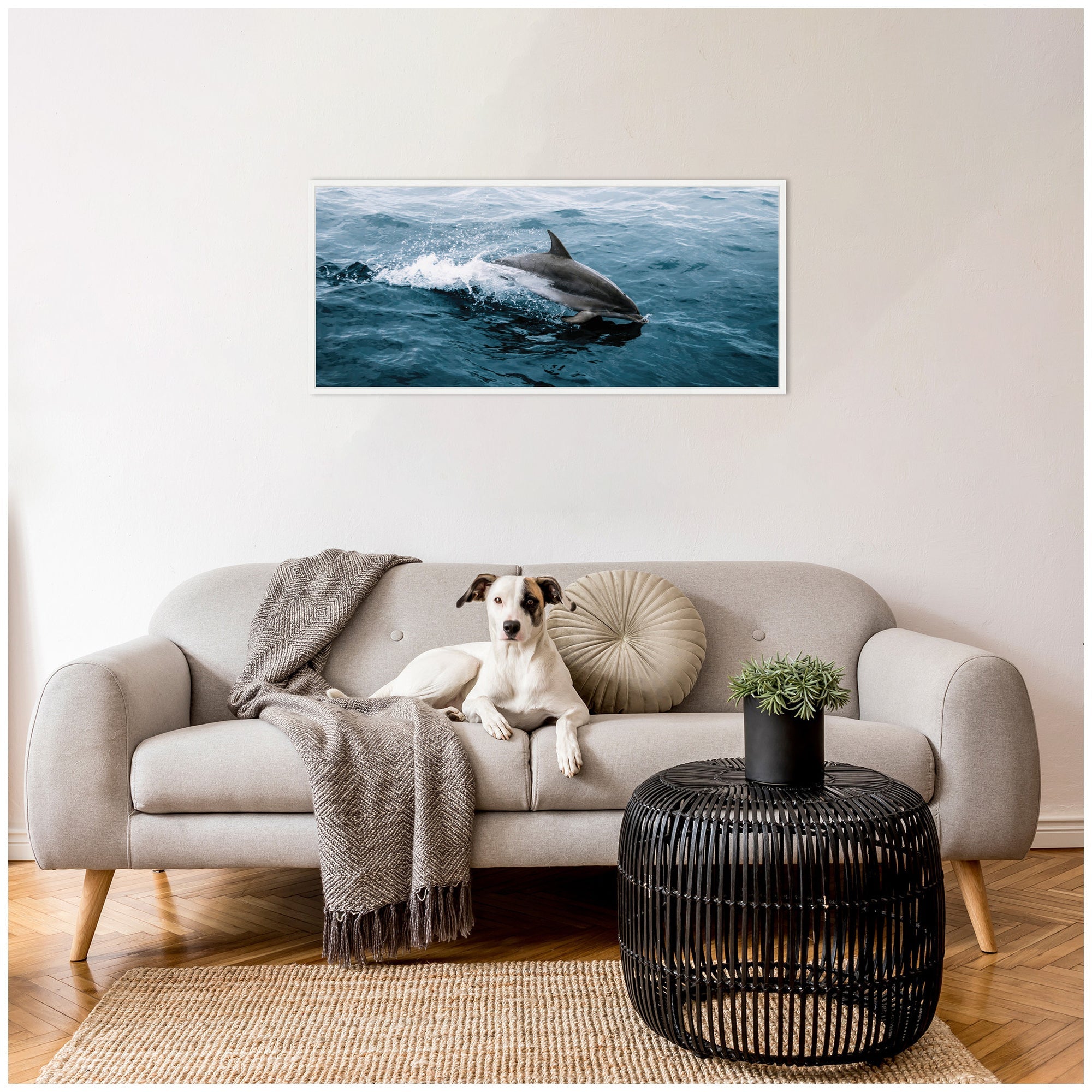 Sylvie Dolphin Skipping along in the Ocean Framed Canvas by Michael Schauer